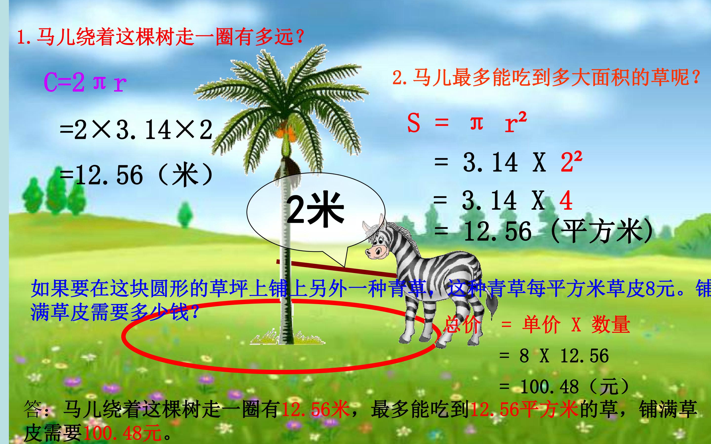 46.jpg