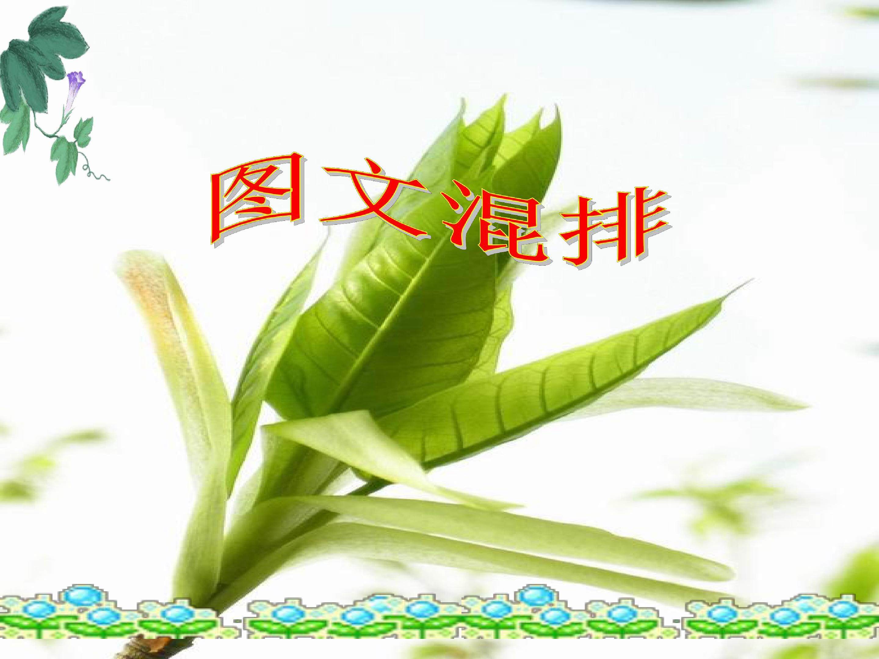 图文混排