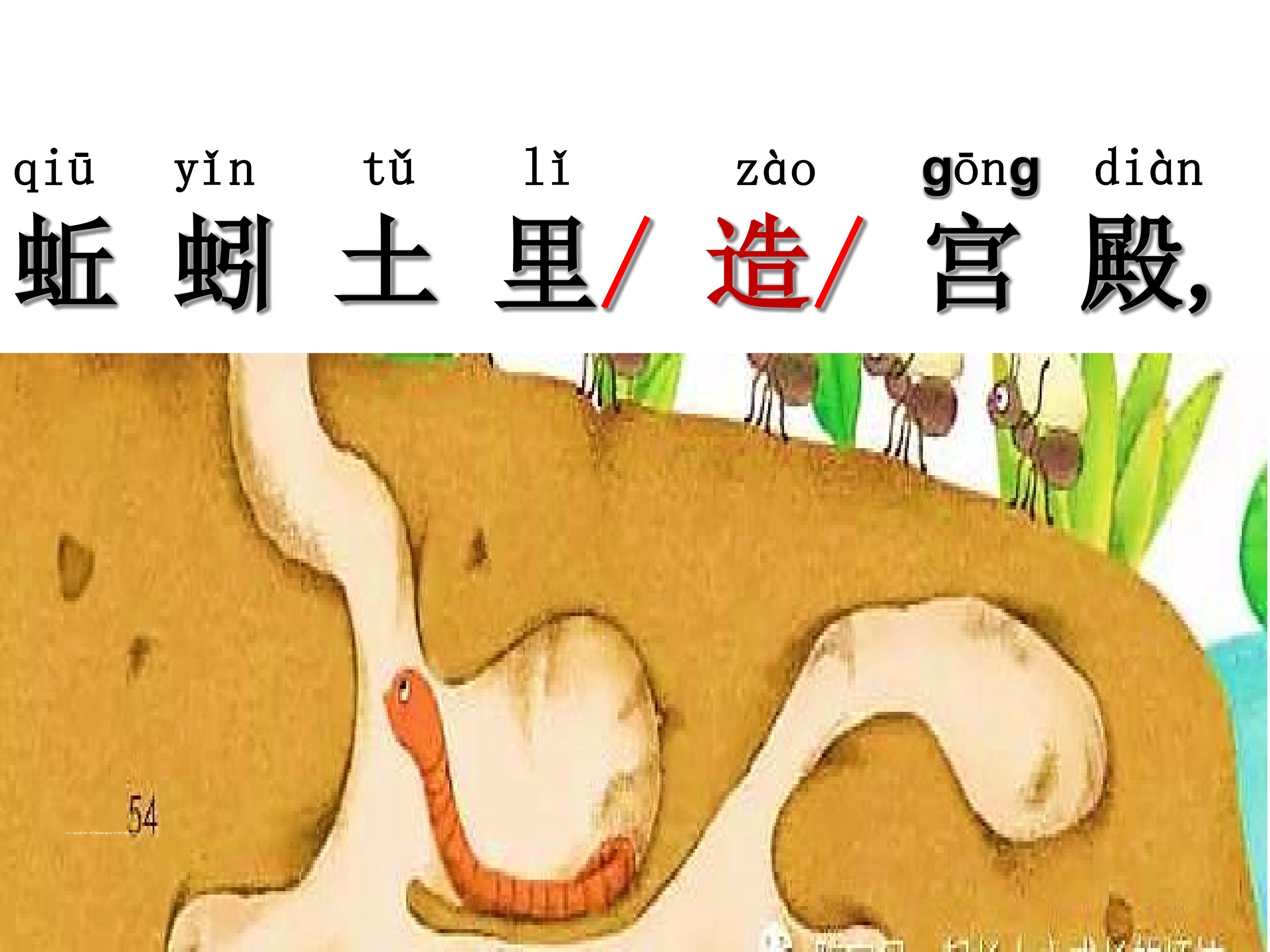 19.jpg