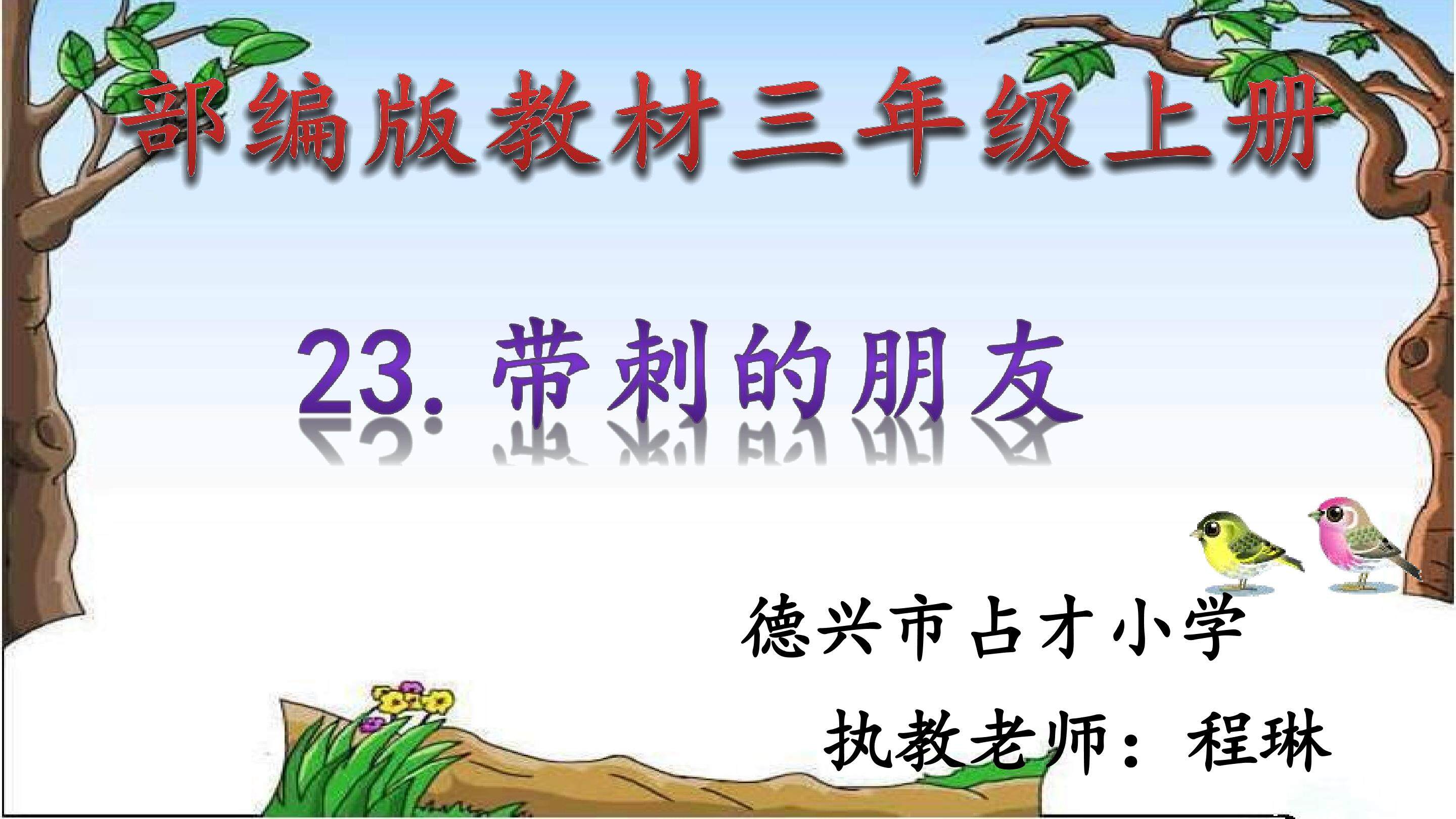 带刺的朋友