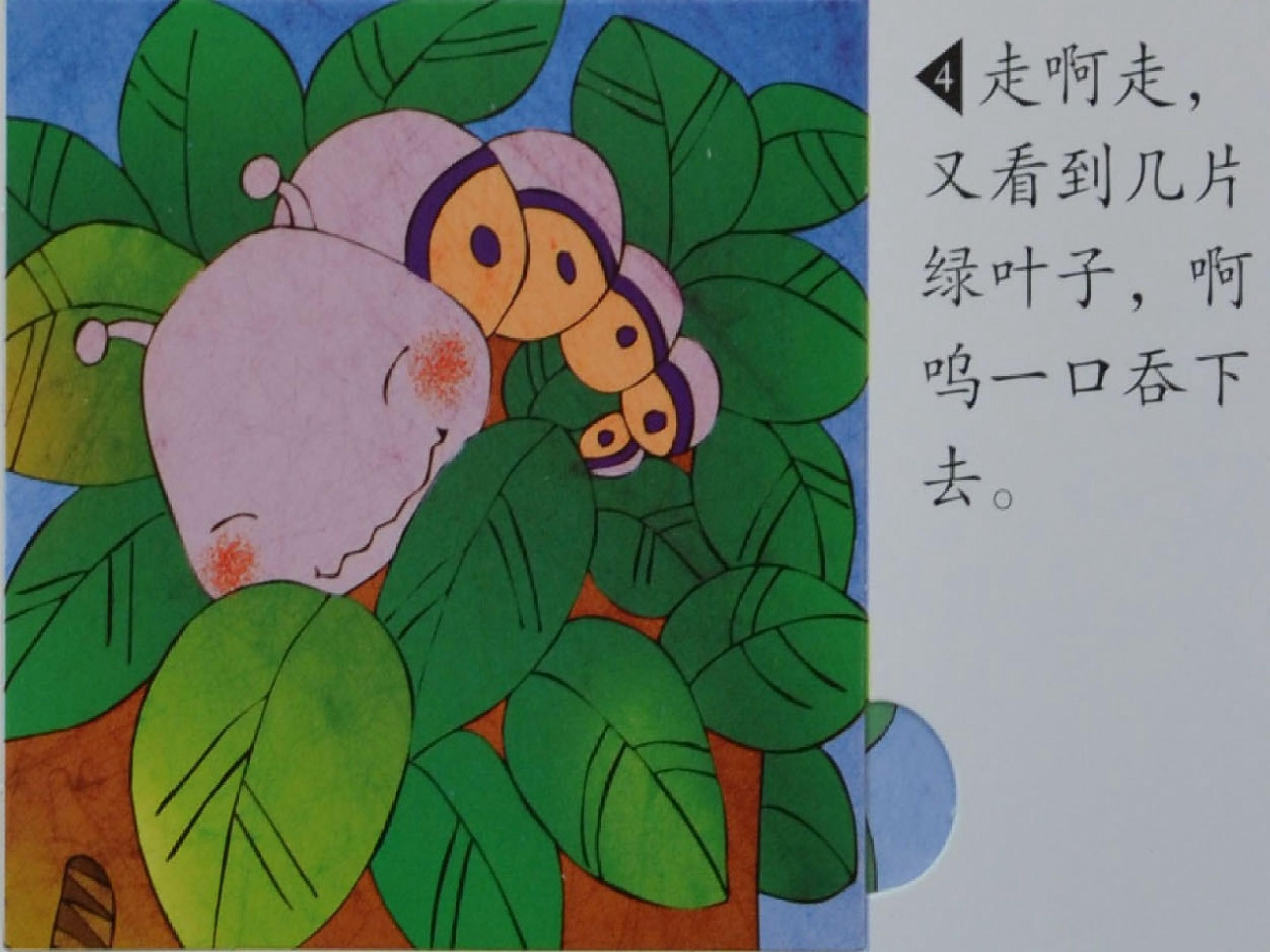 31.jpg