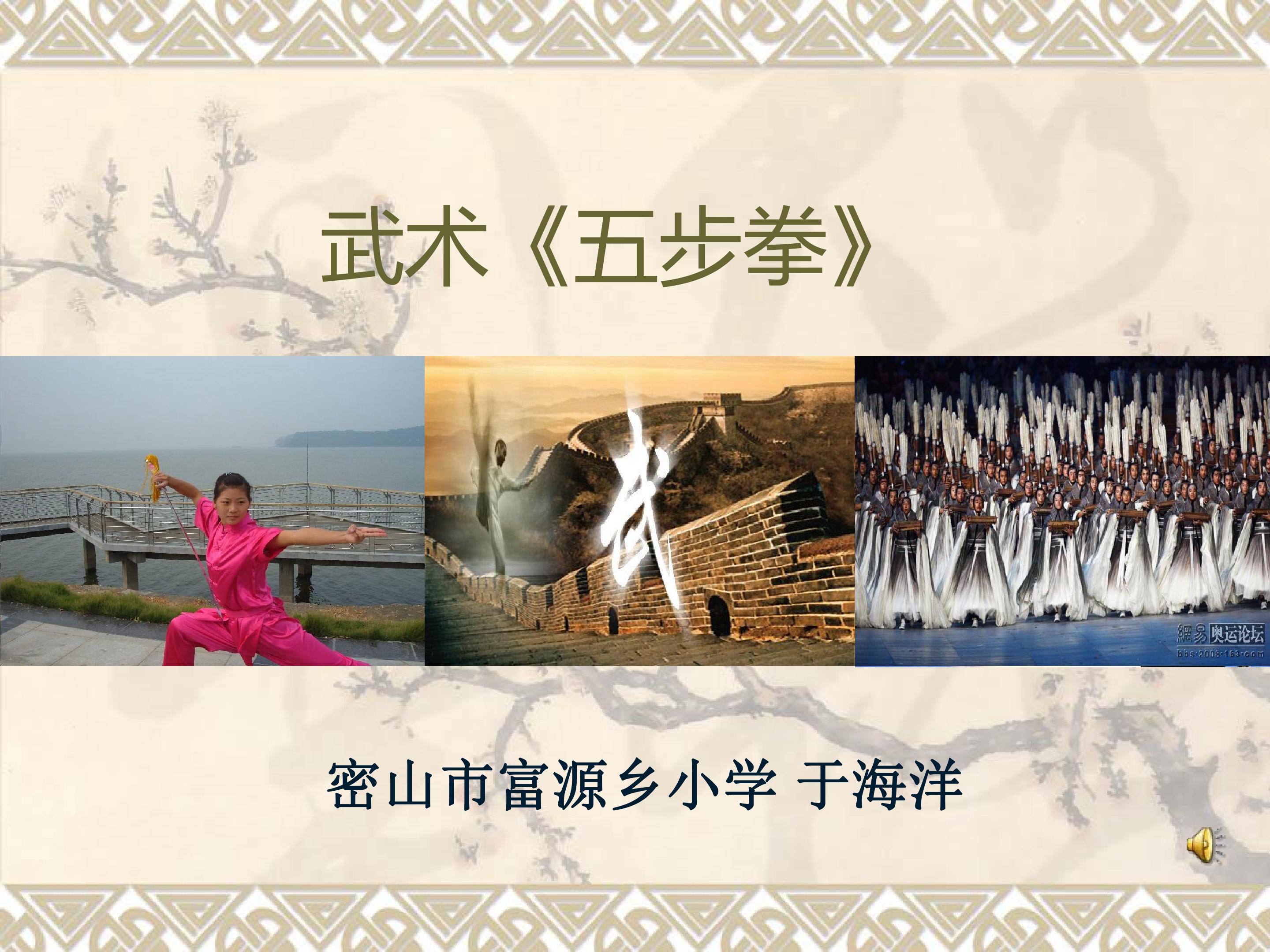 武术五步拳