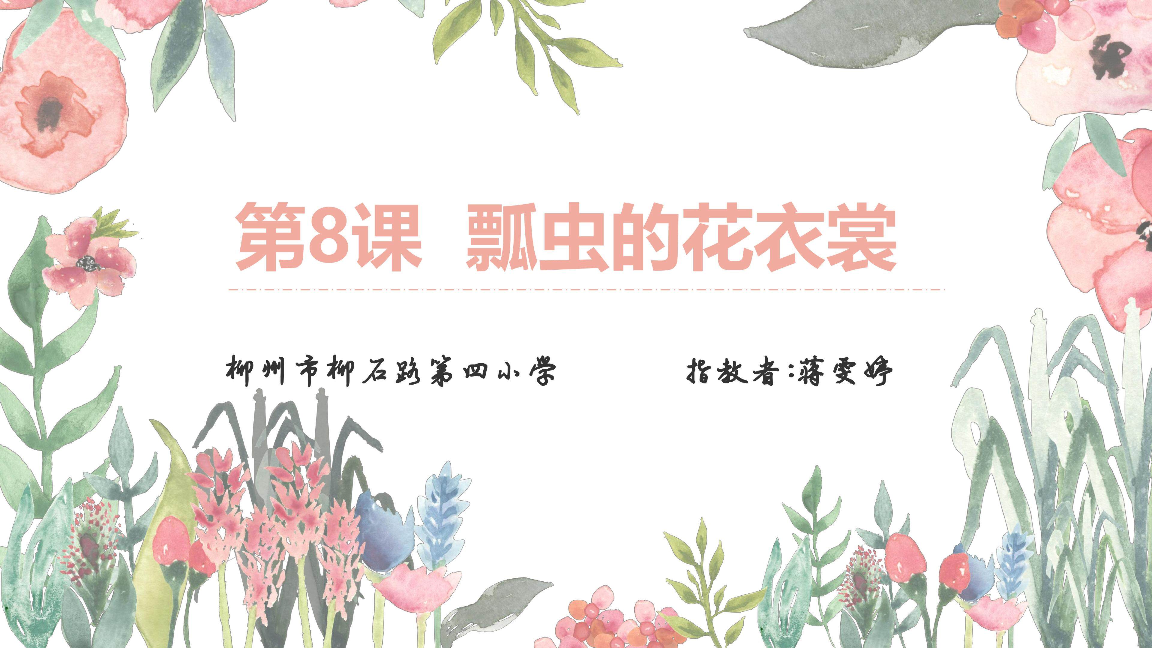 瓢虫的花衣裳