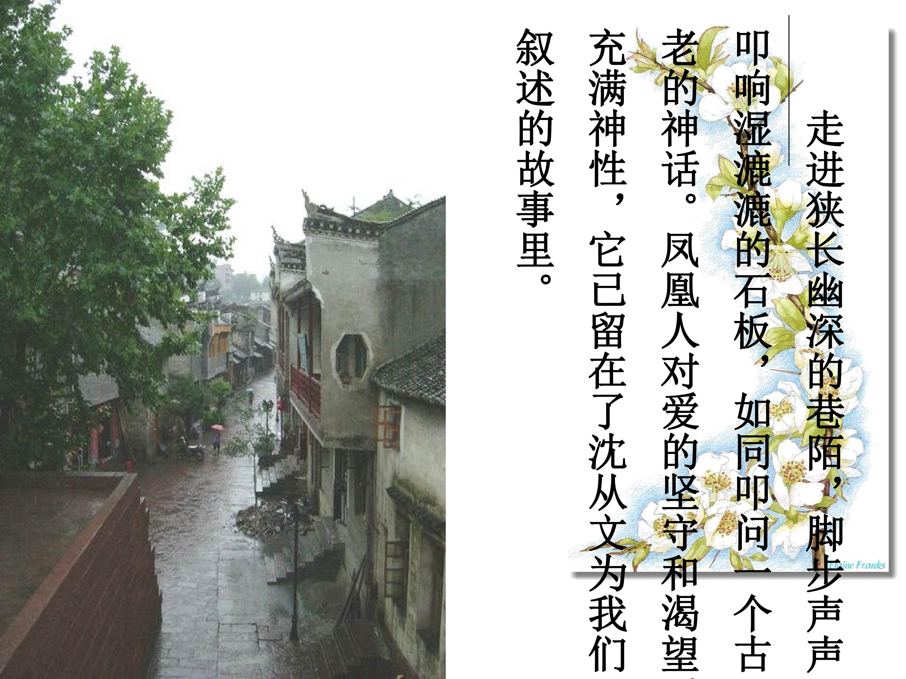 77.jpg