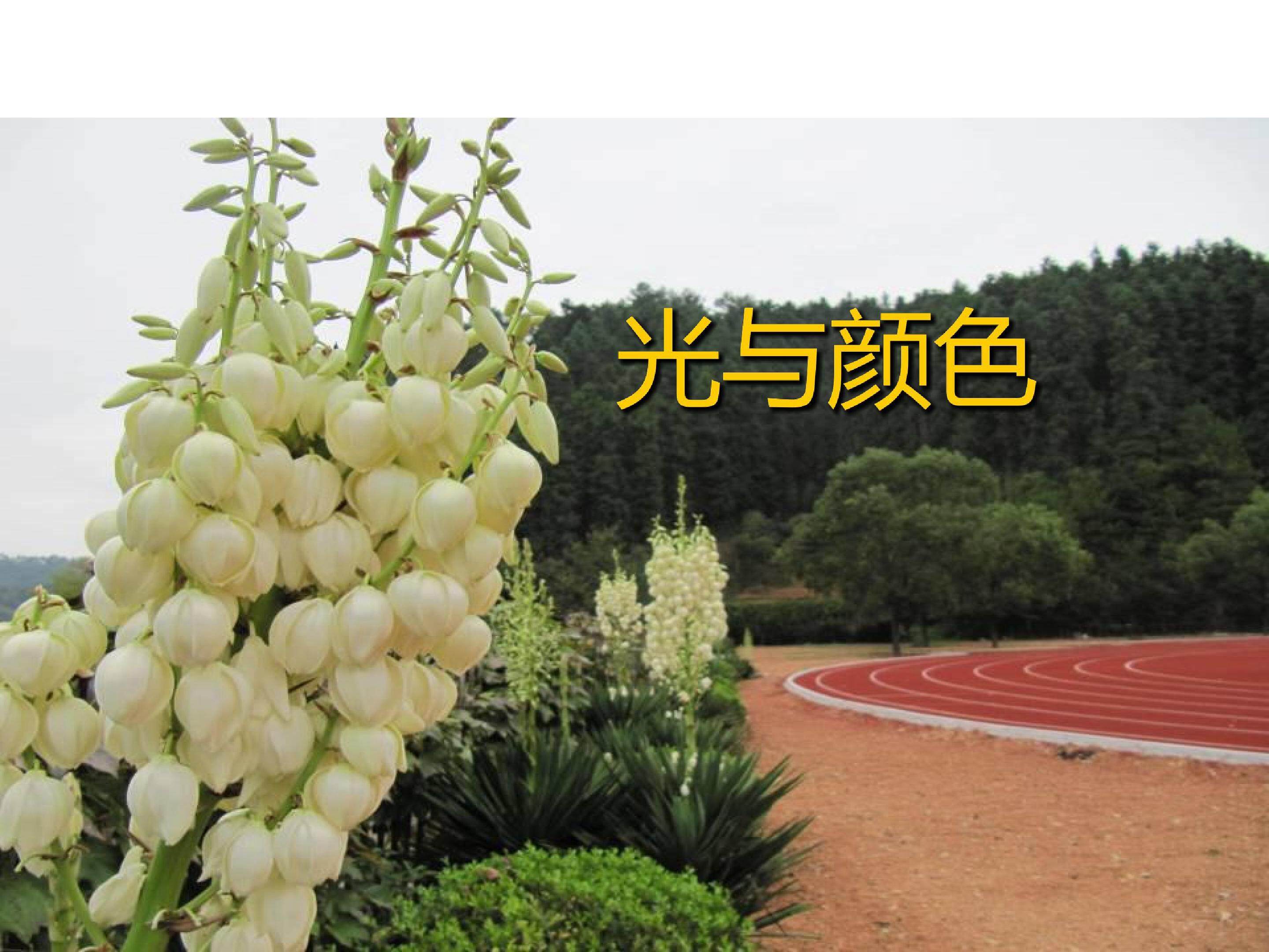 光与颜色 3