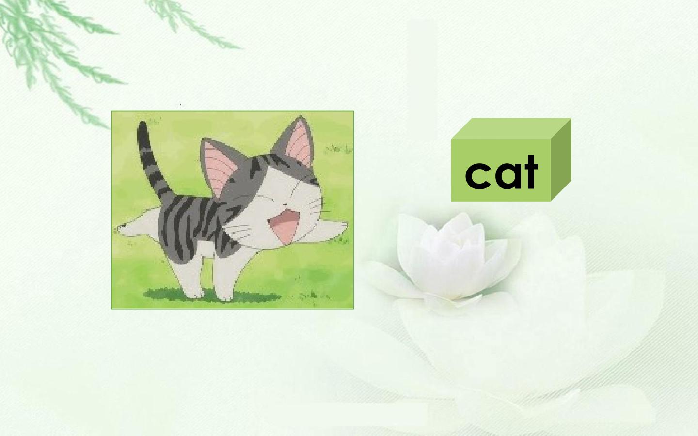 7.jpg