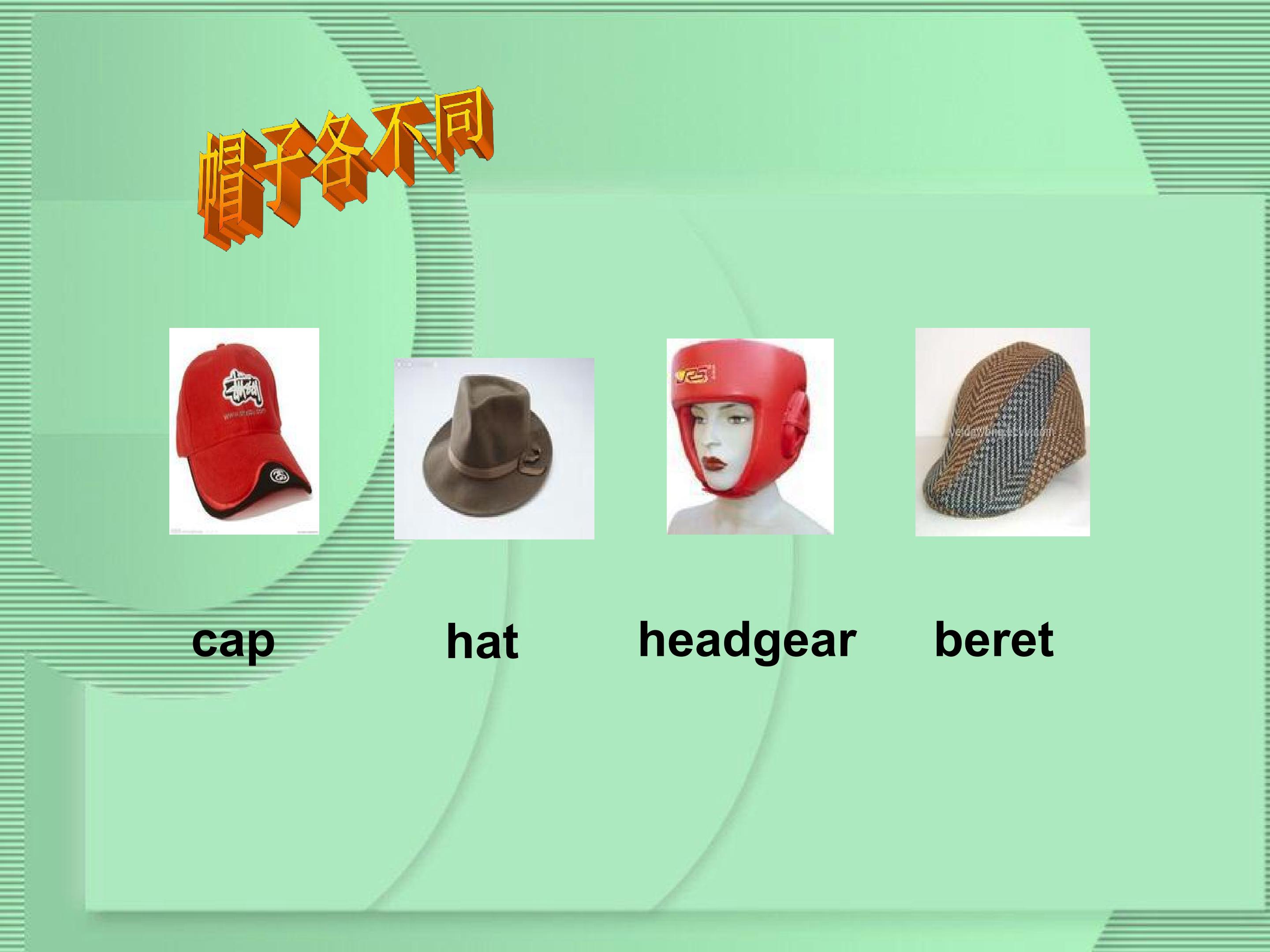 15.jpg