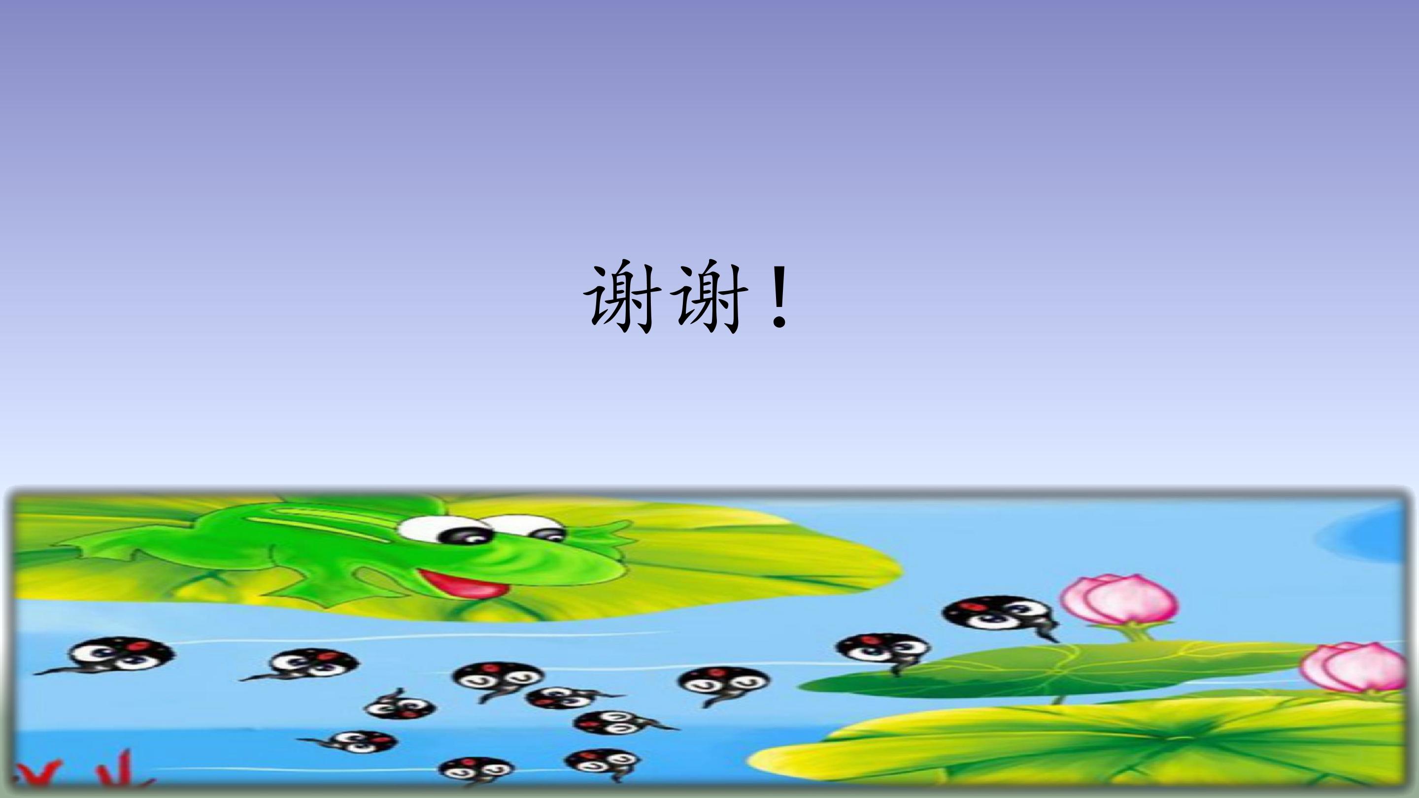 53.jpg