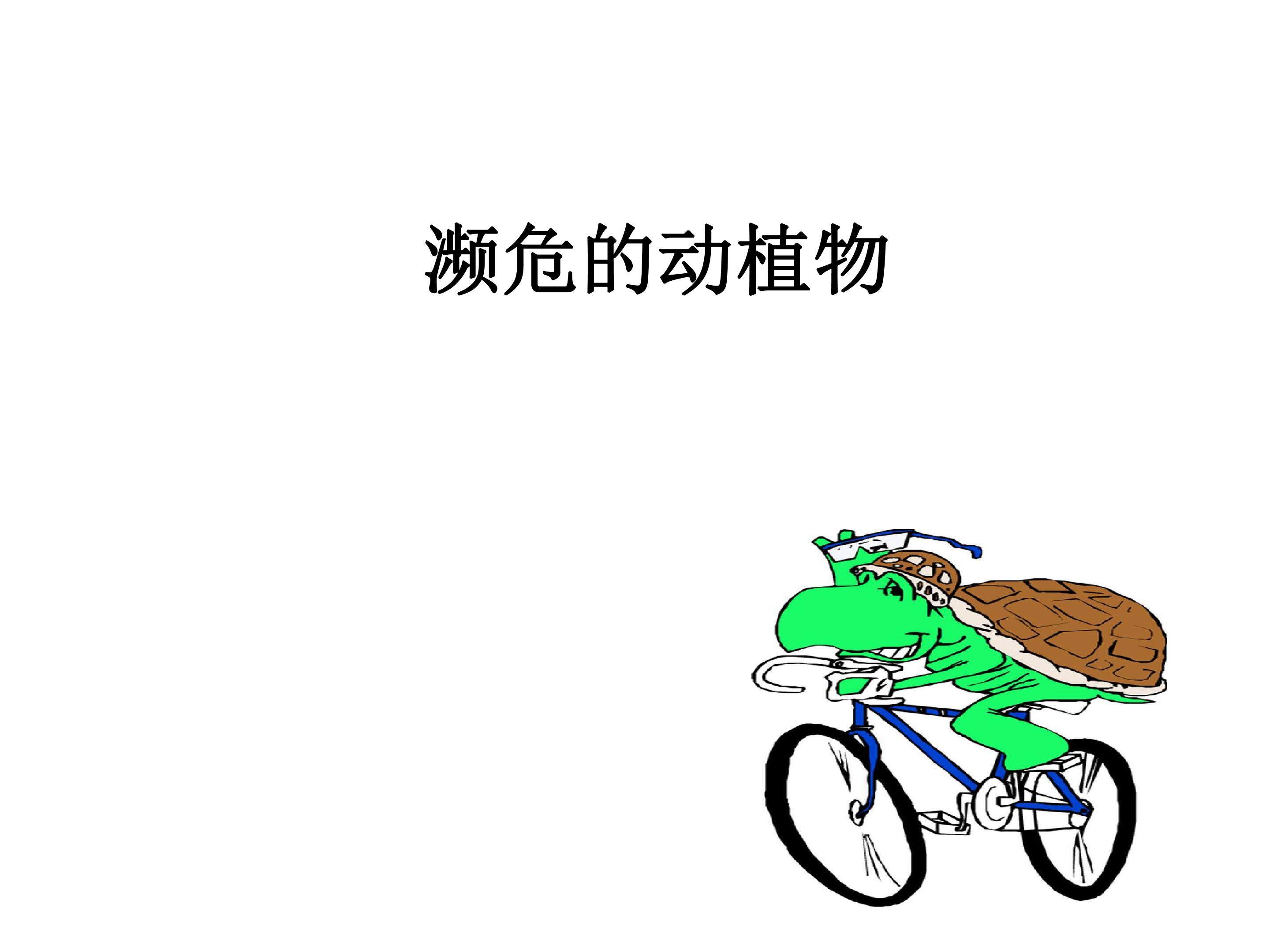 濒危的动植物2