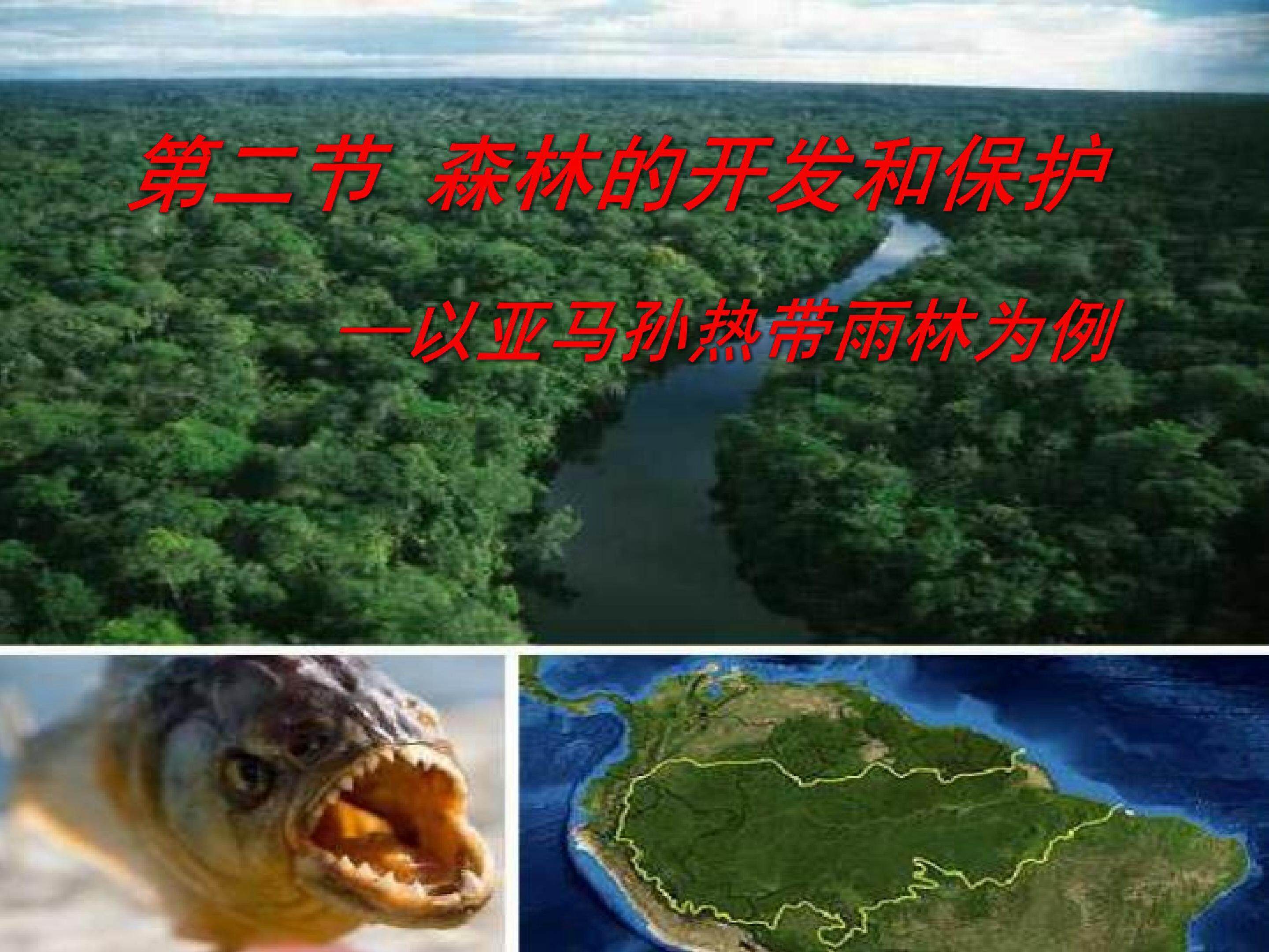 森林的开发与保护