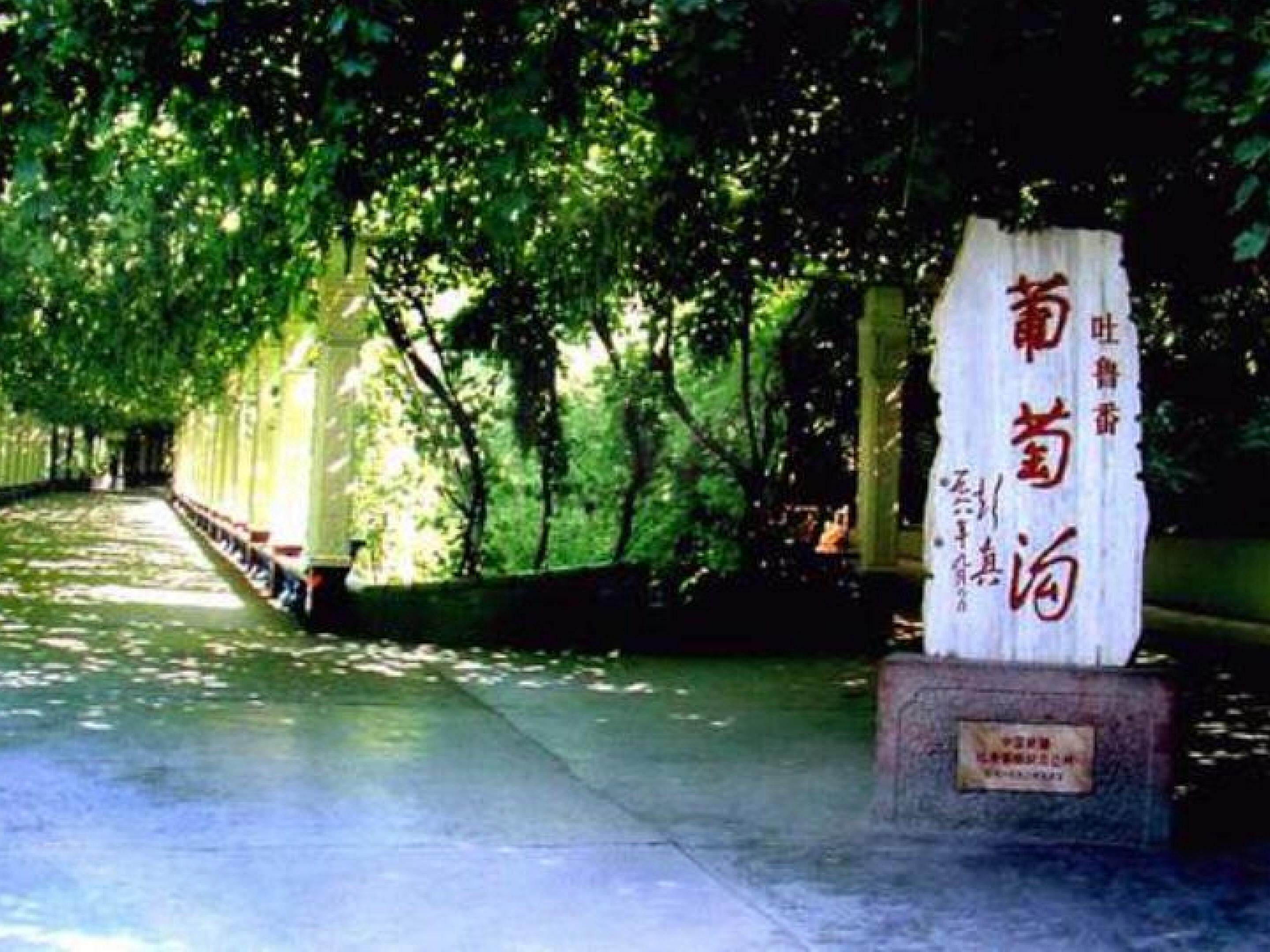 葡萄沟