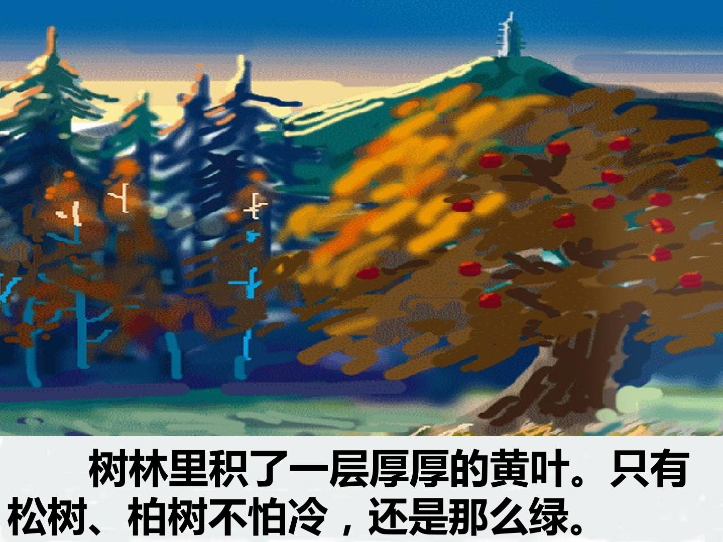 16.jpg