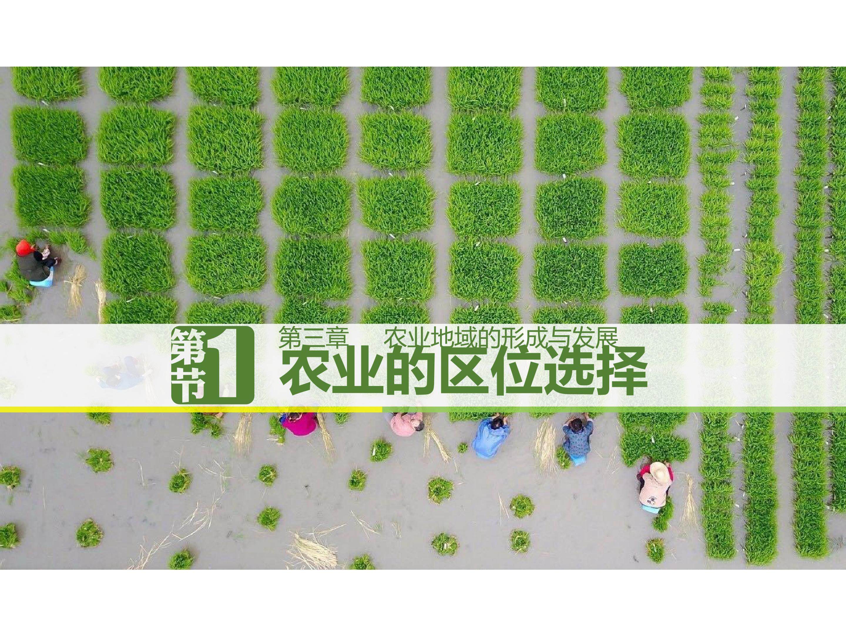 农业区位选择