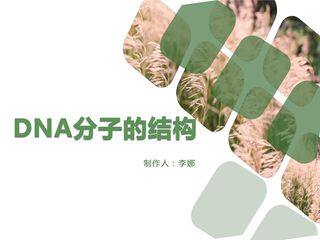 DNA分子的结构
