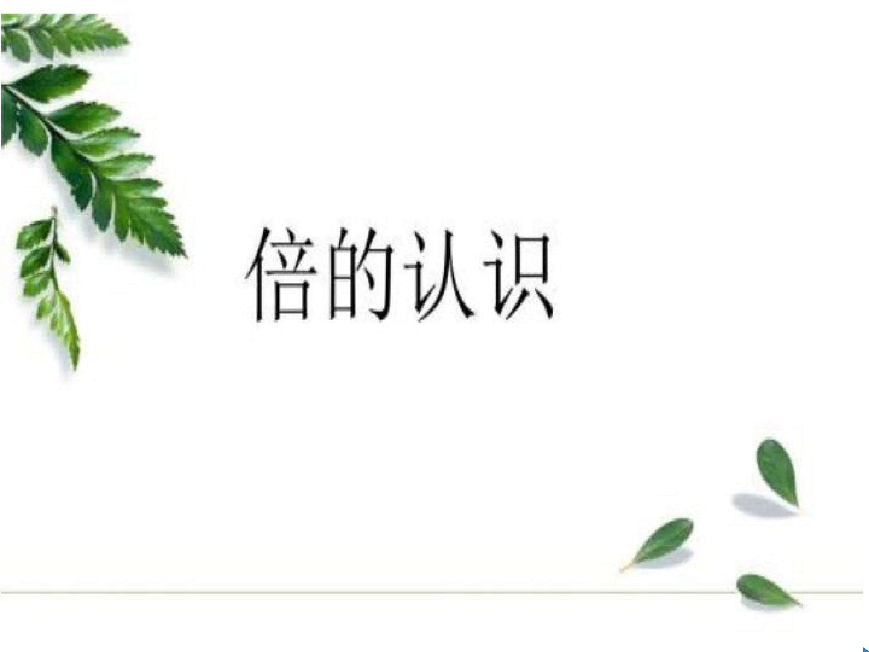 倍的认识