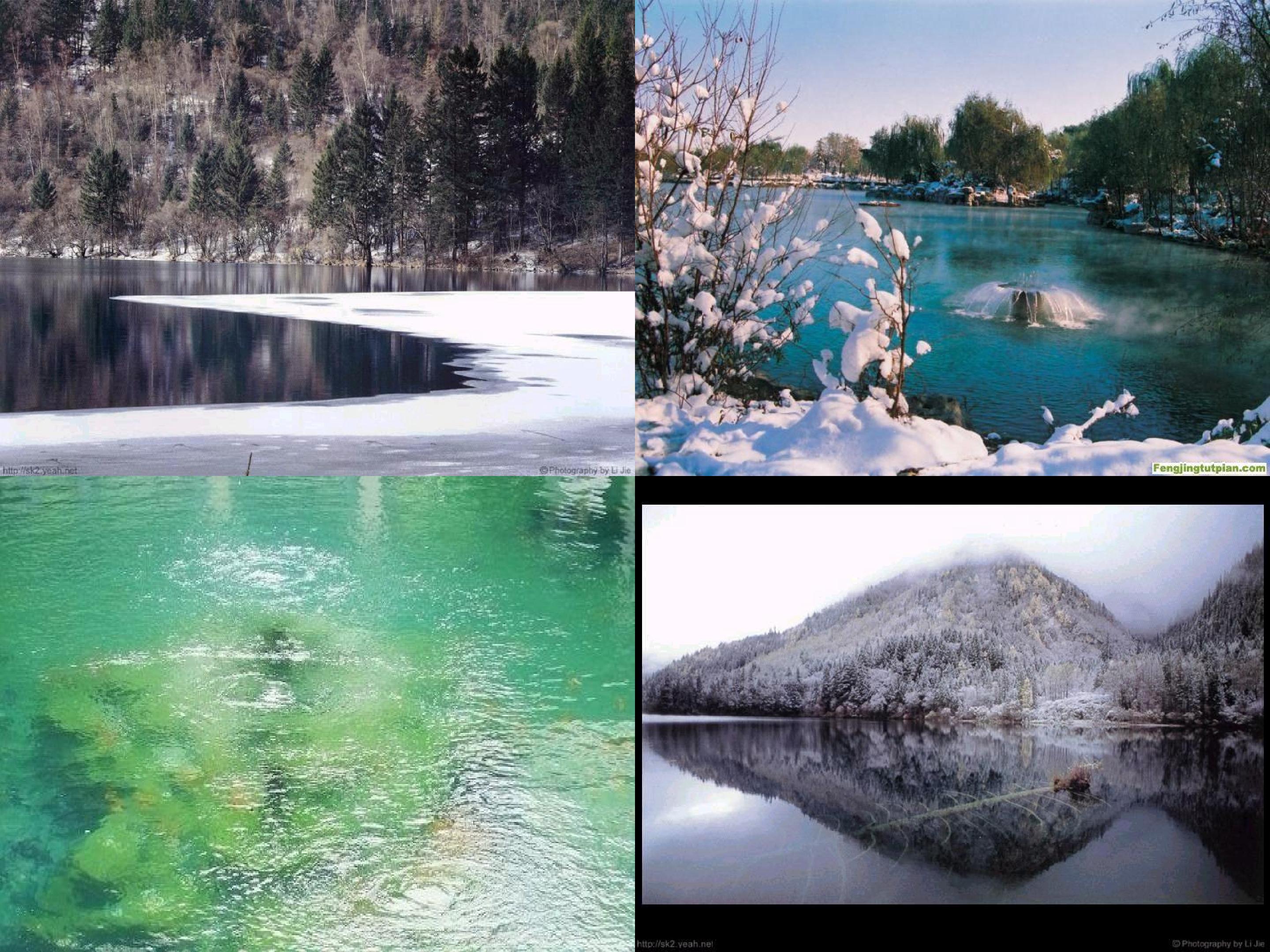 15.jpg