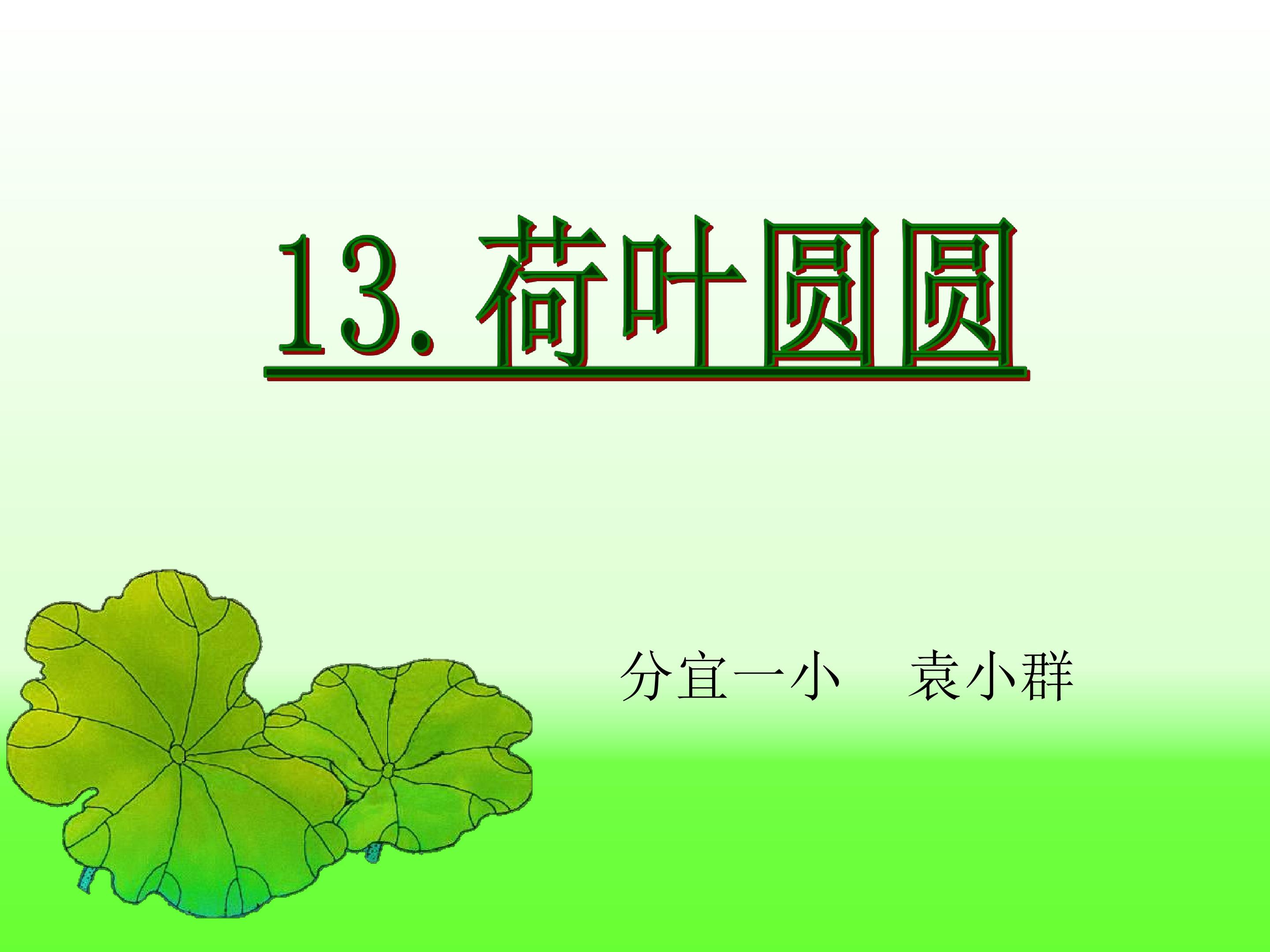 荷叶圆圆