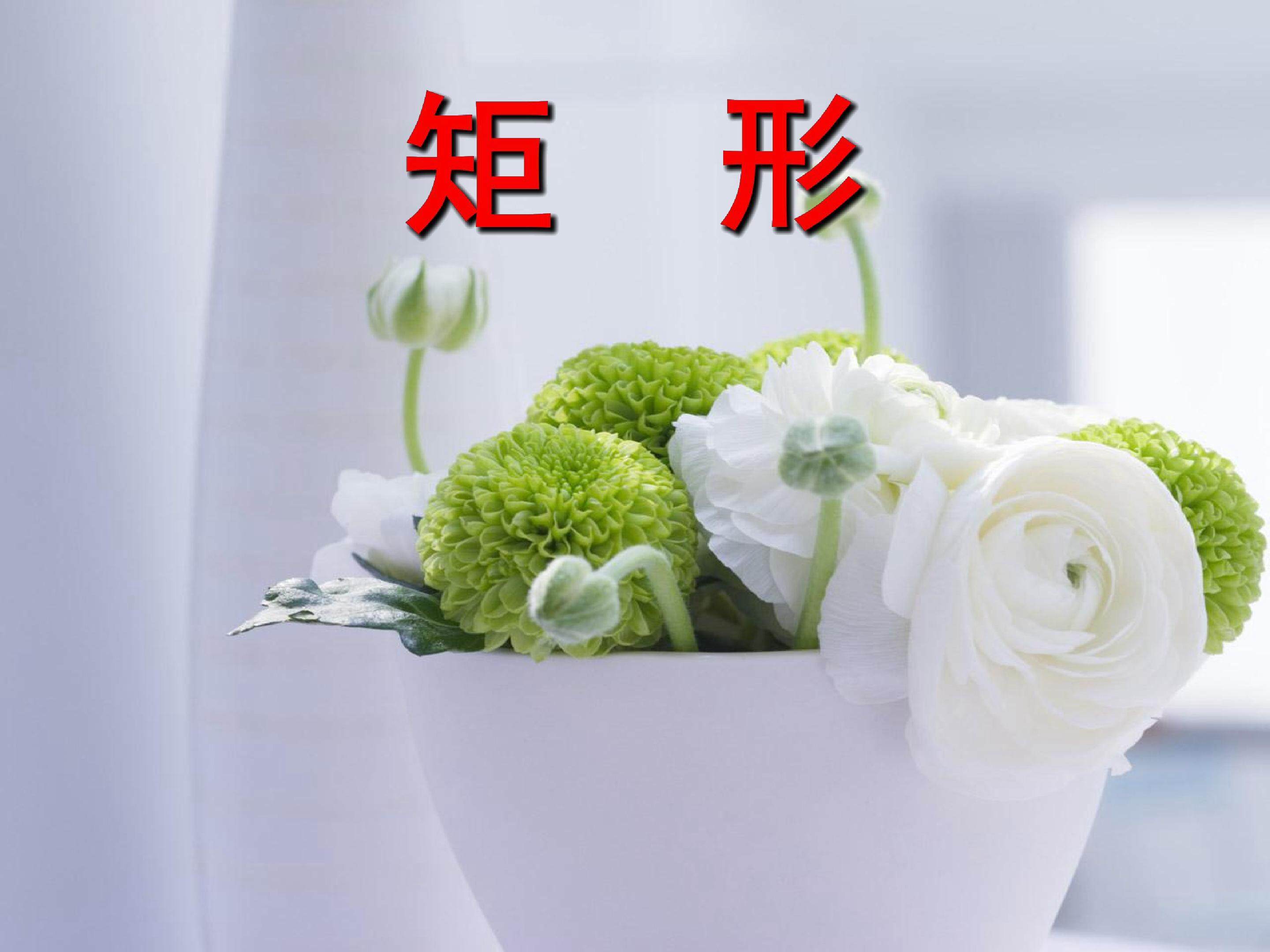 矩形的定义和性质