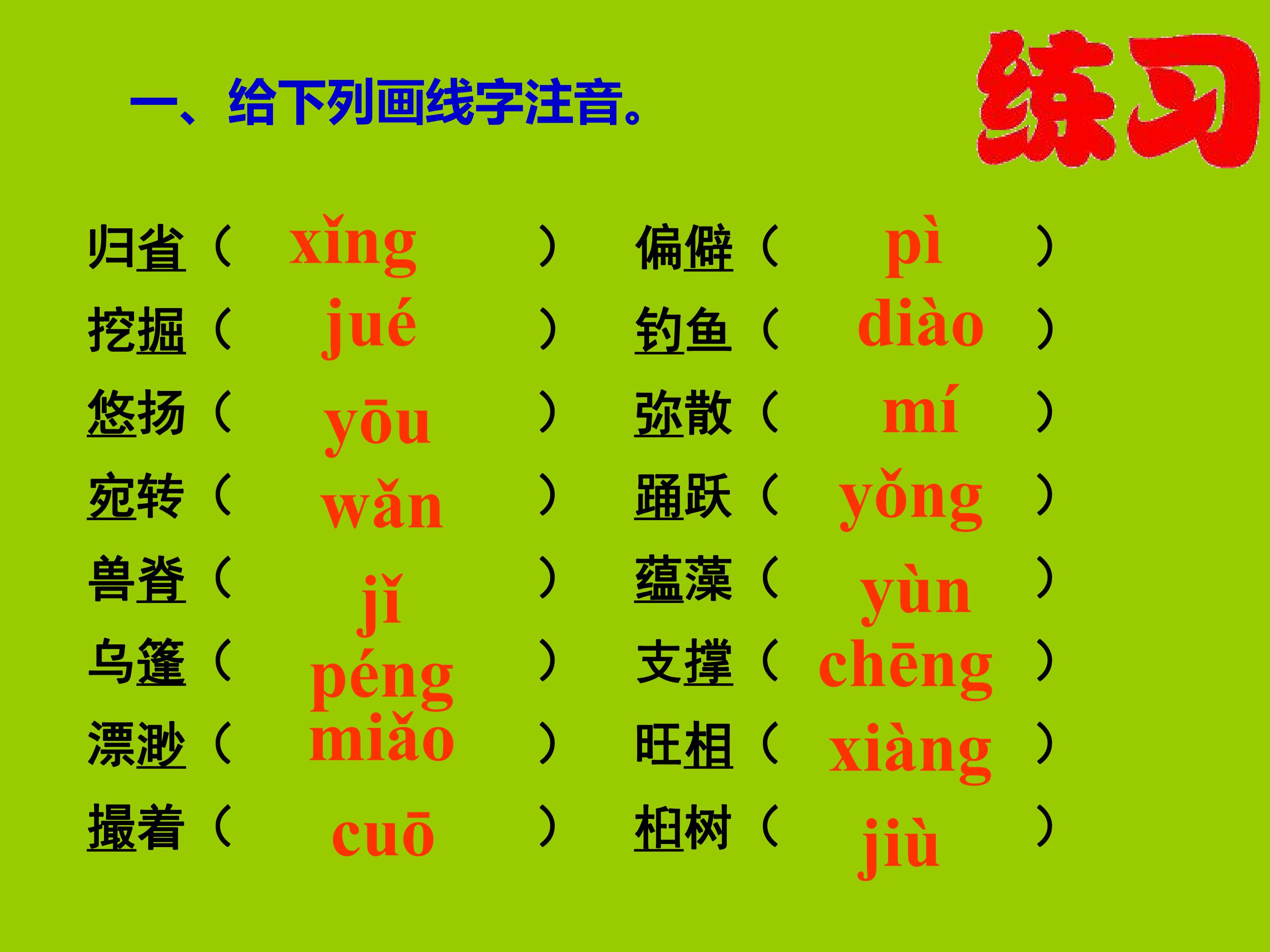 75.jpg