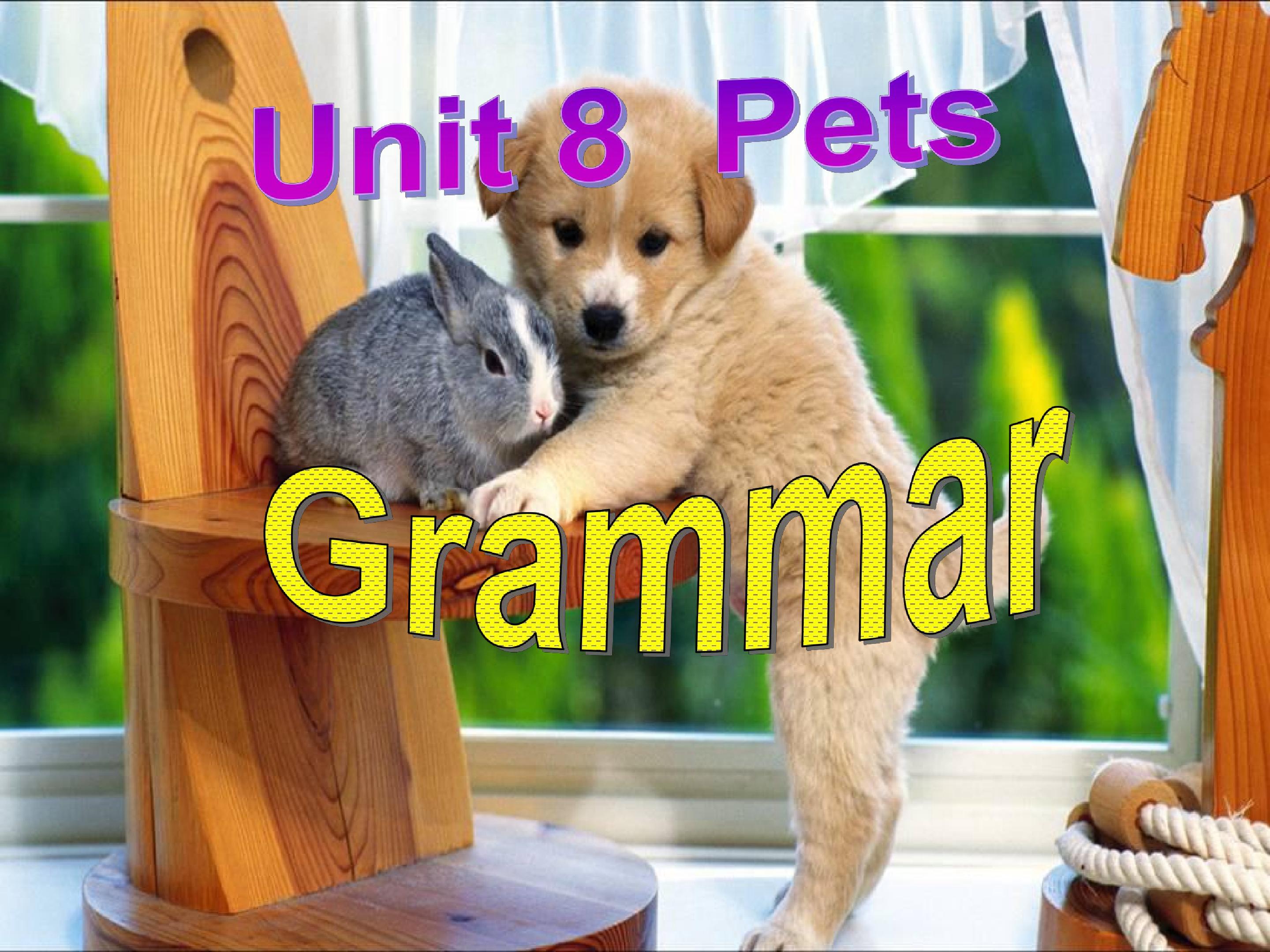 unit8 pets