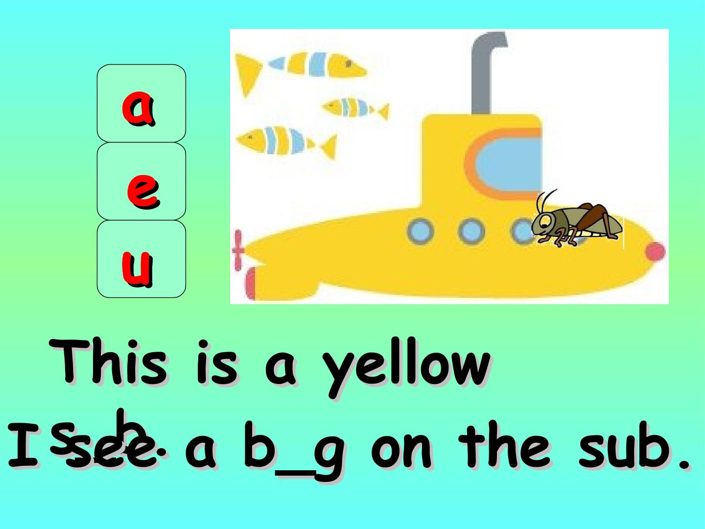 17.jpg