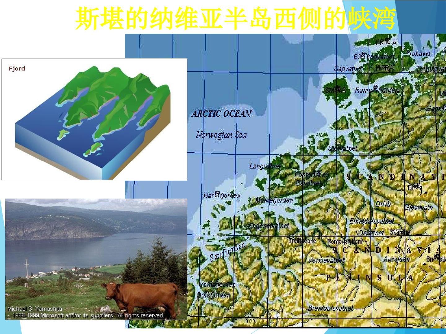 20.jpg