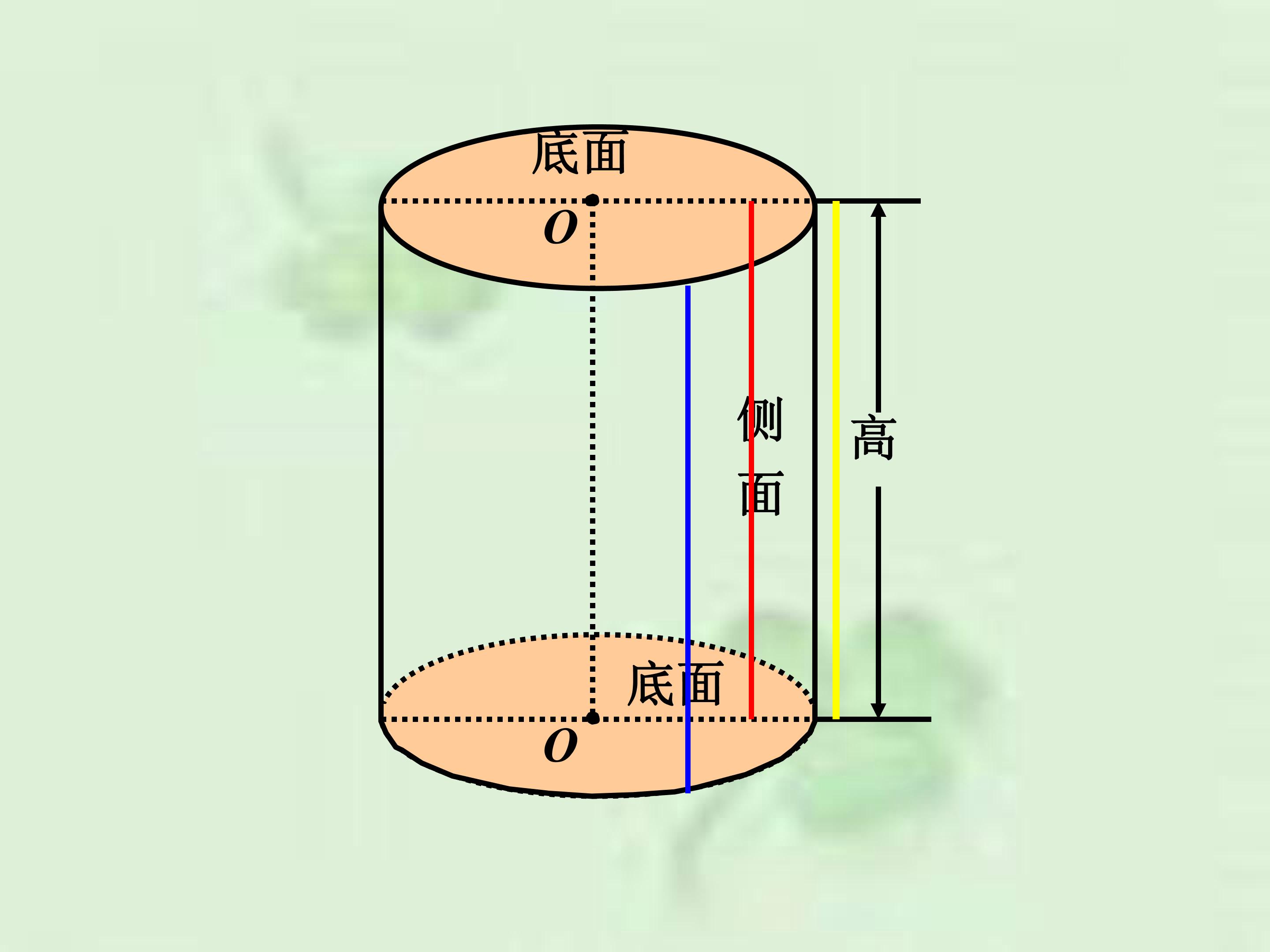 15.jpg