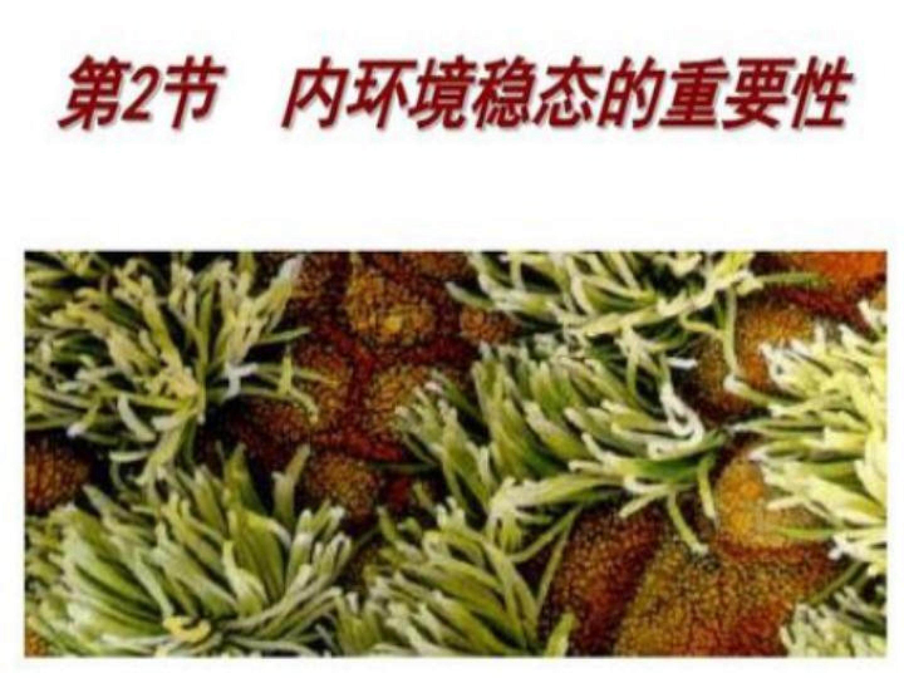 内环境稳态的重要性