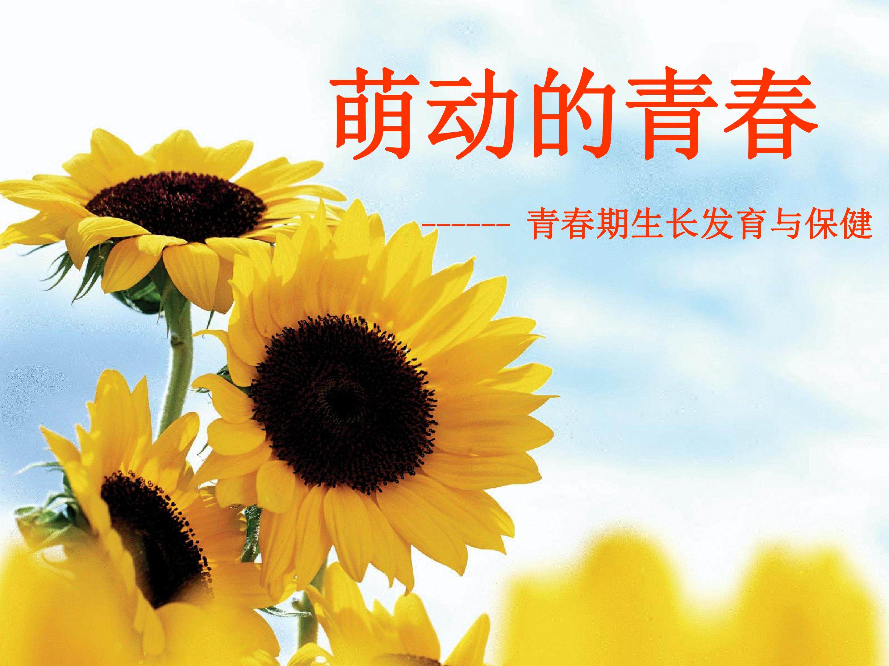 萌动的青春岁月