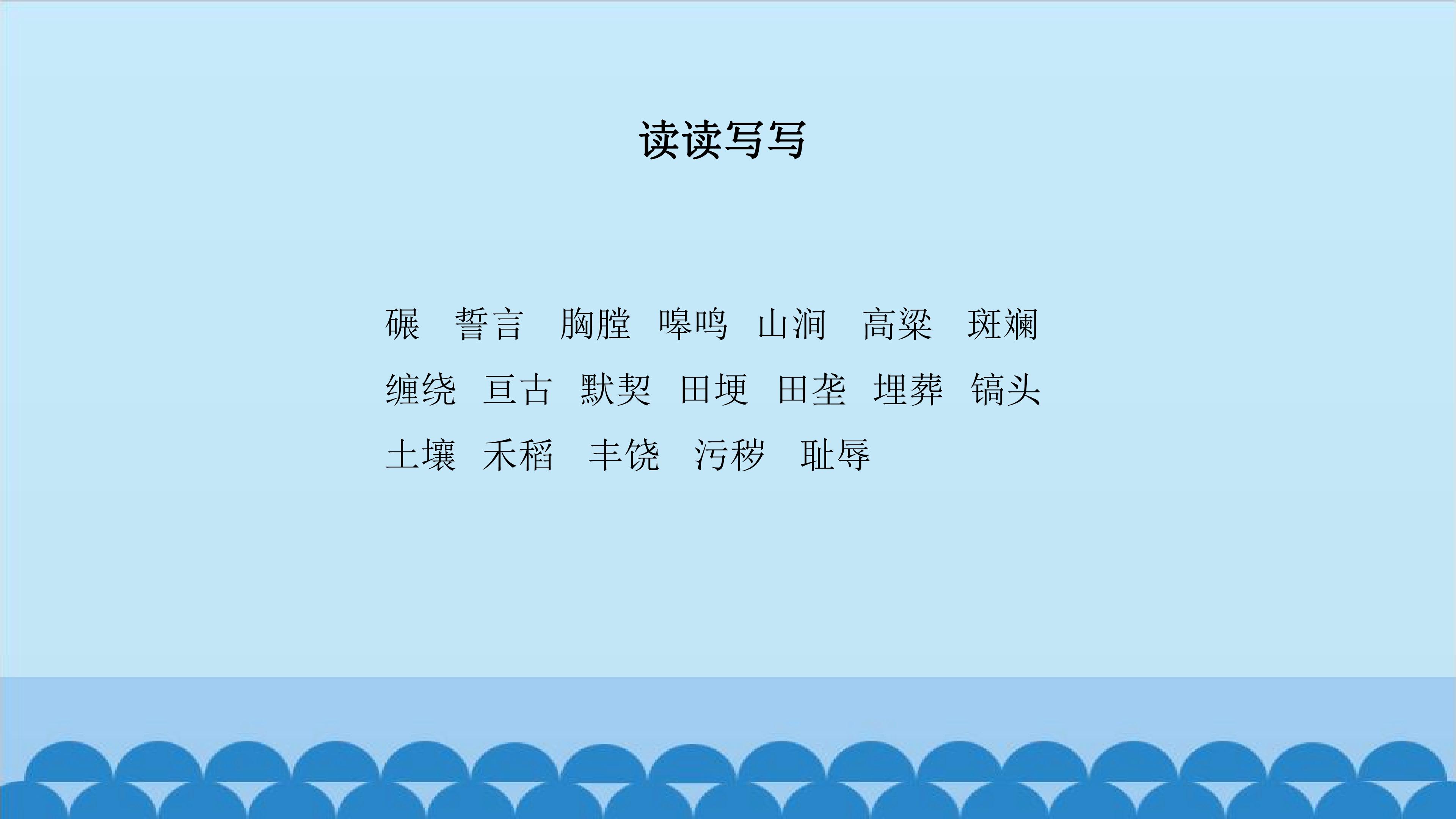 21.jpg