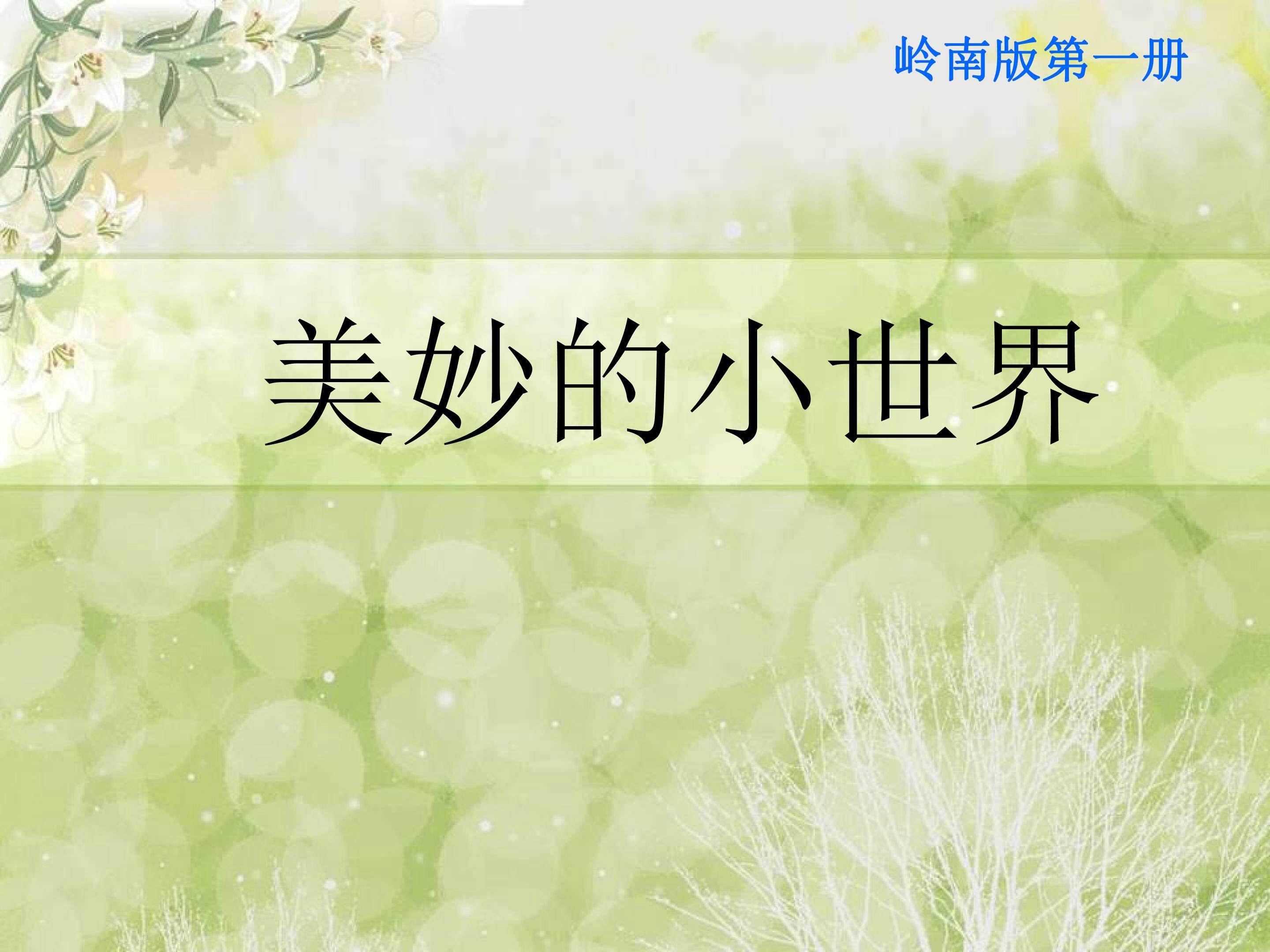 美妙的小世界