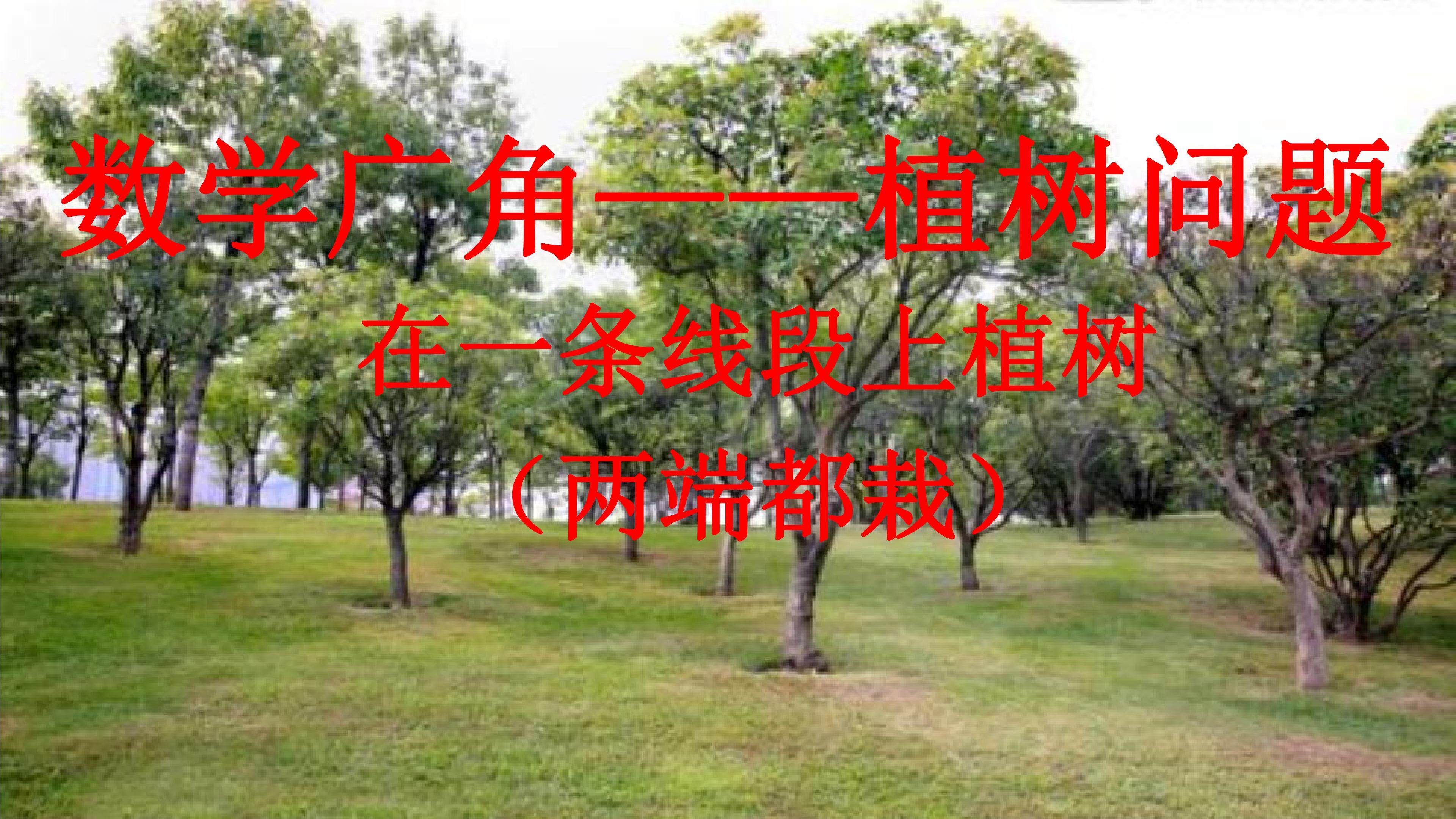 植树问题