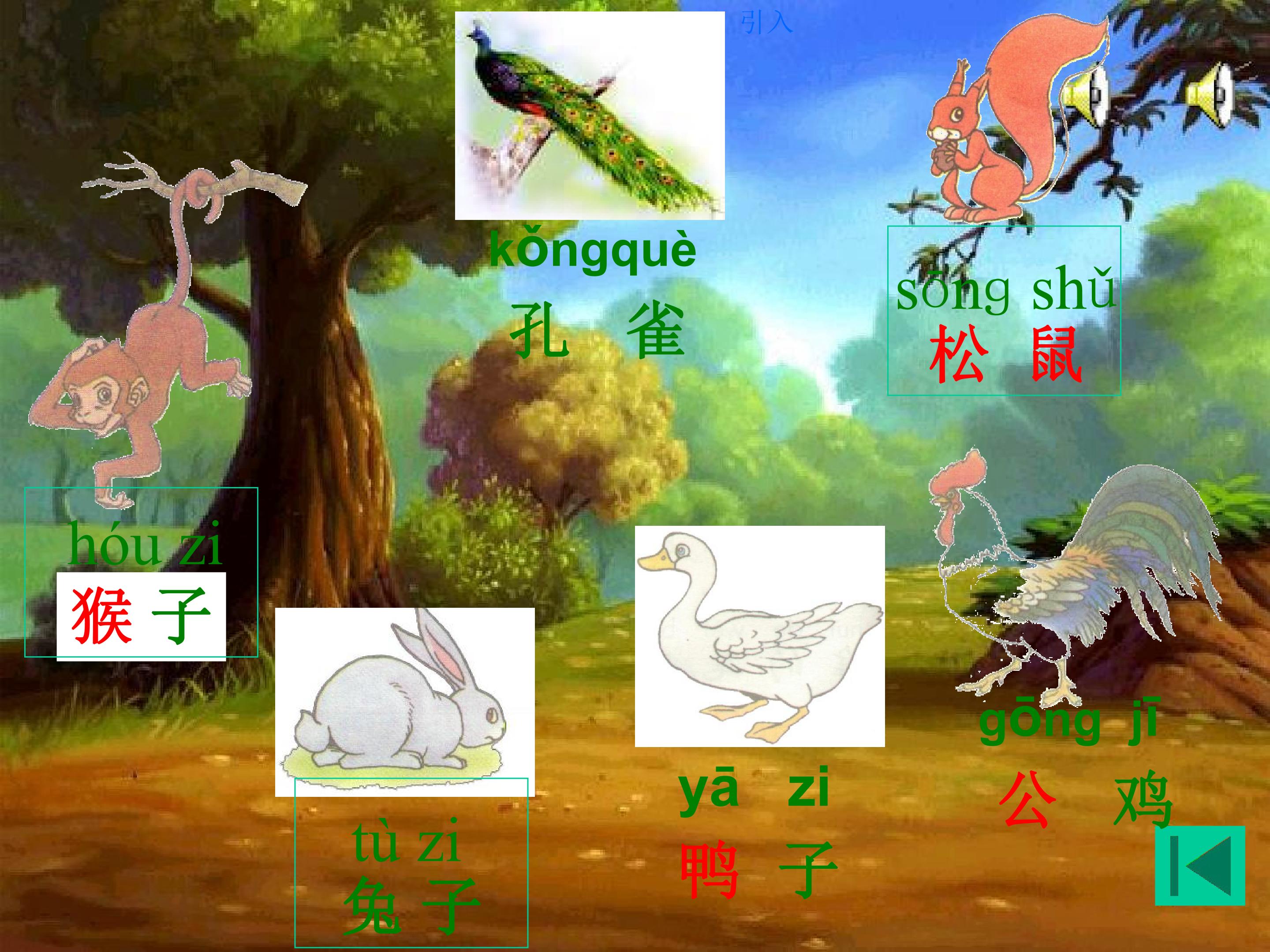 2.jpg