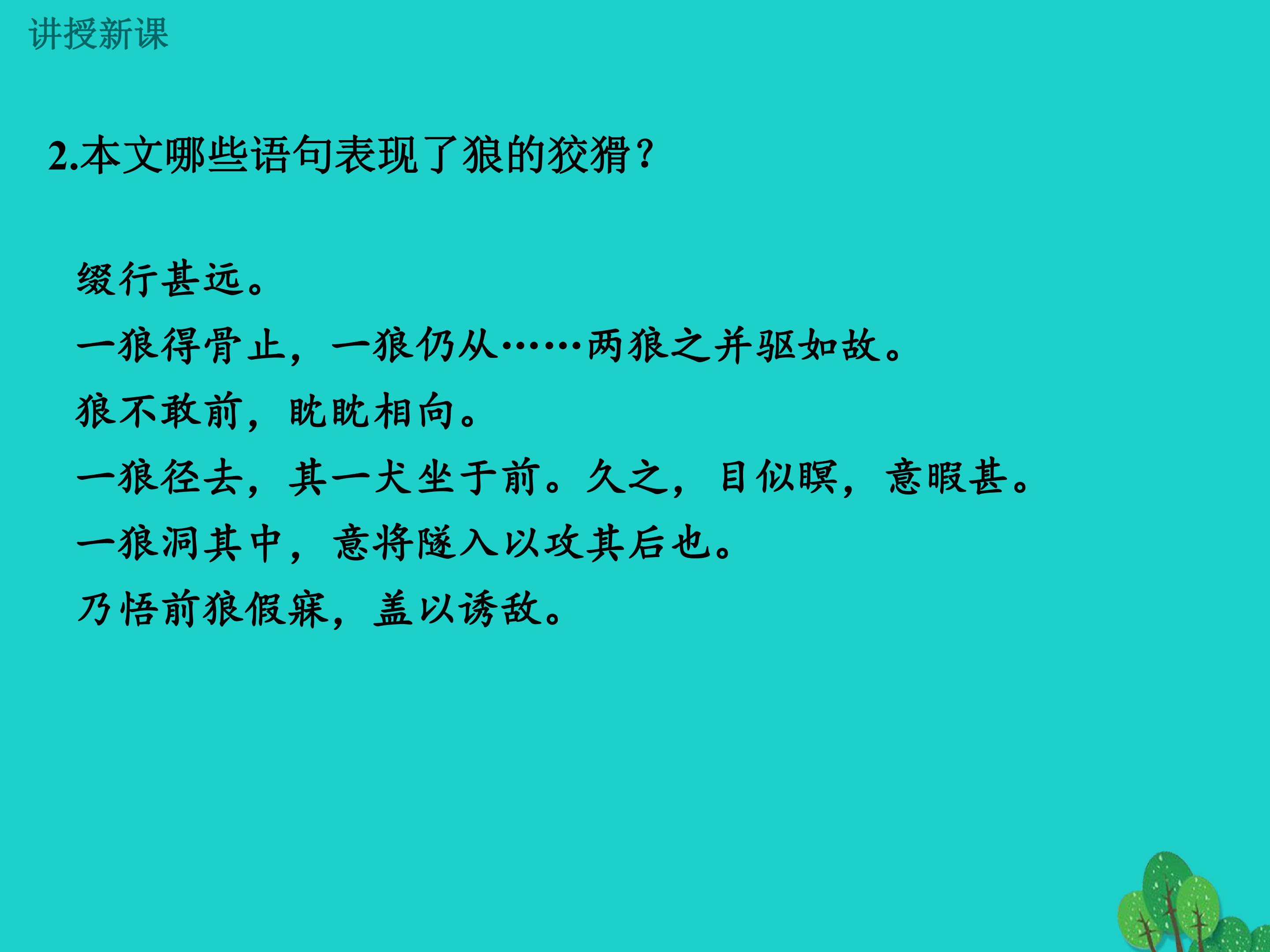 15.jpg