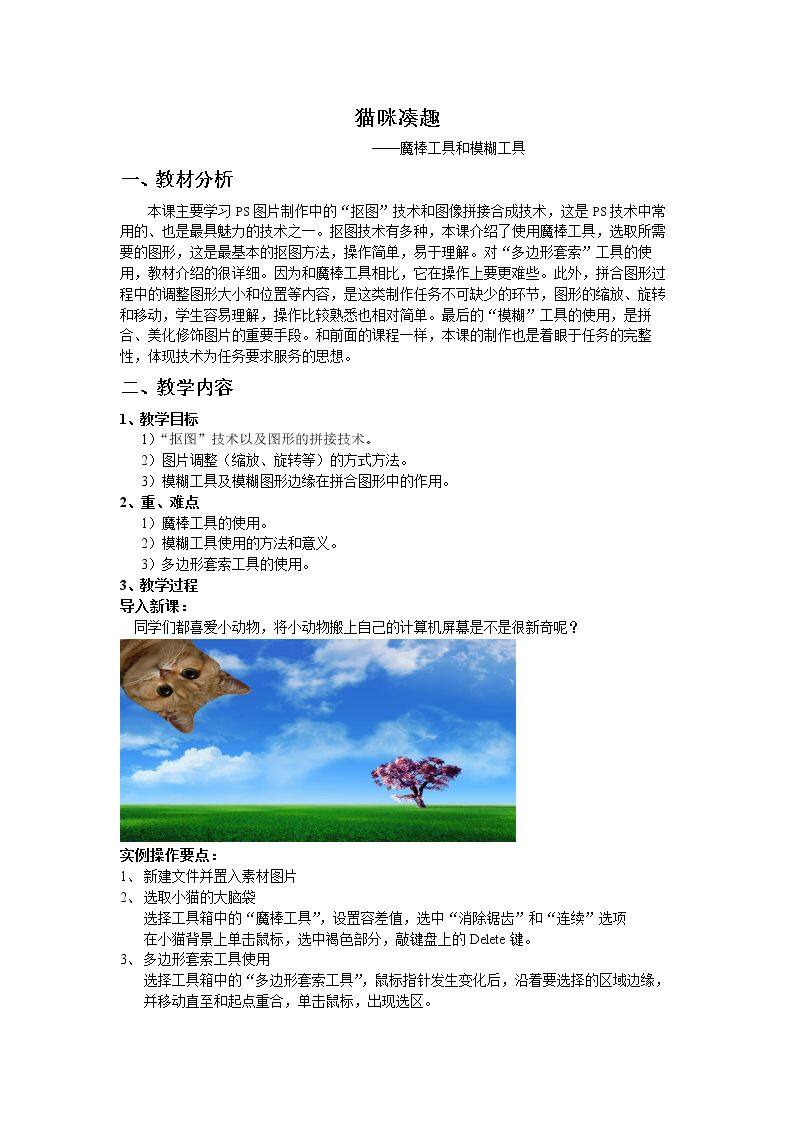 猫咪凑趣