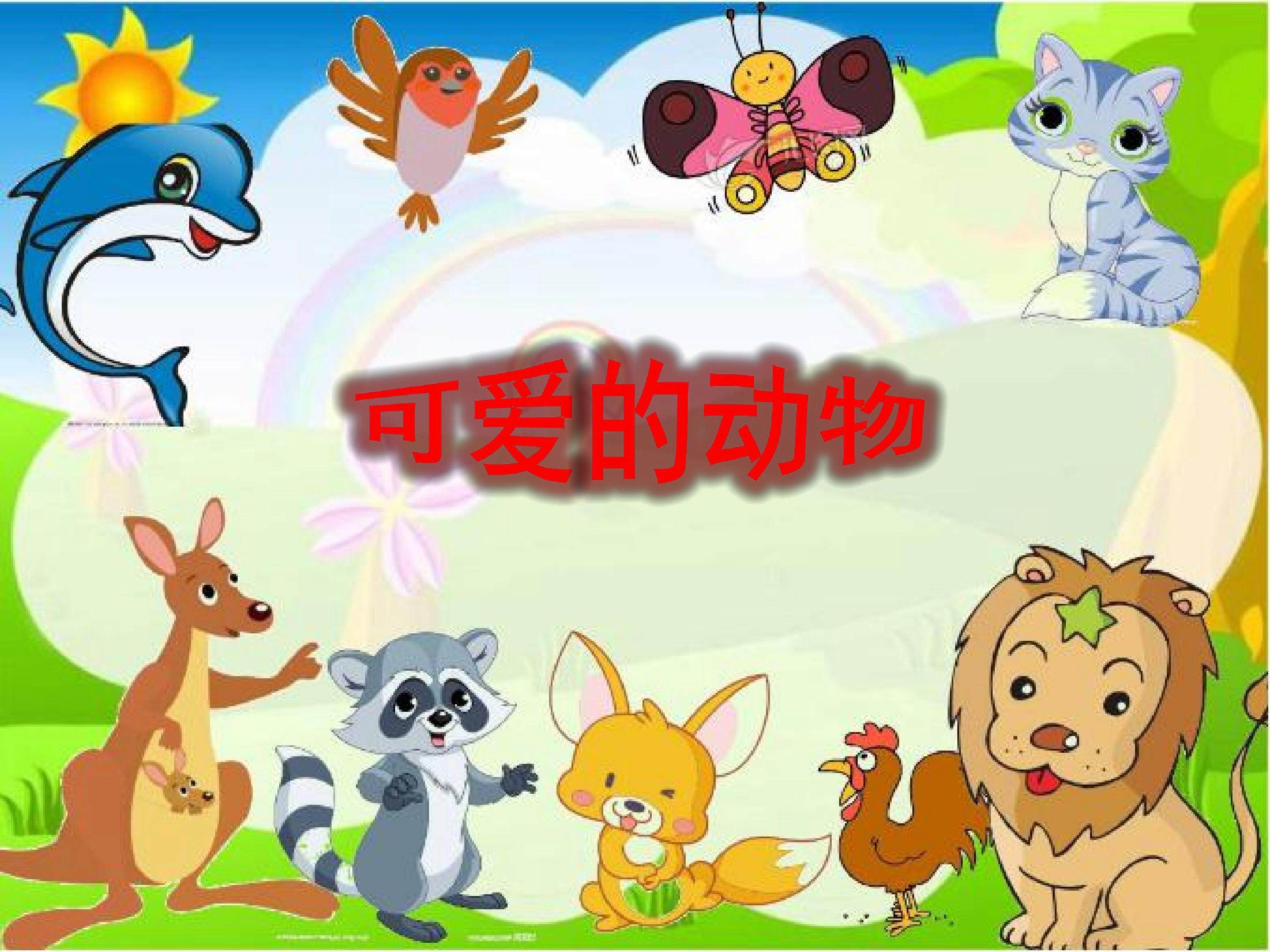 可爱的动物