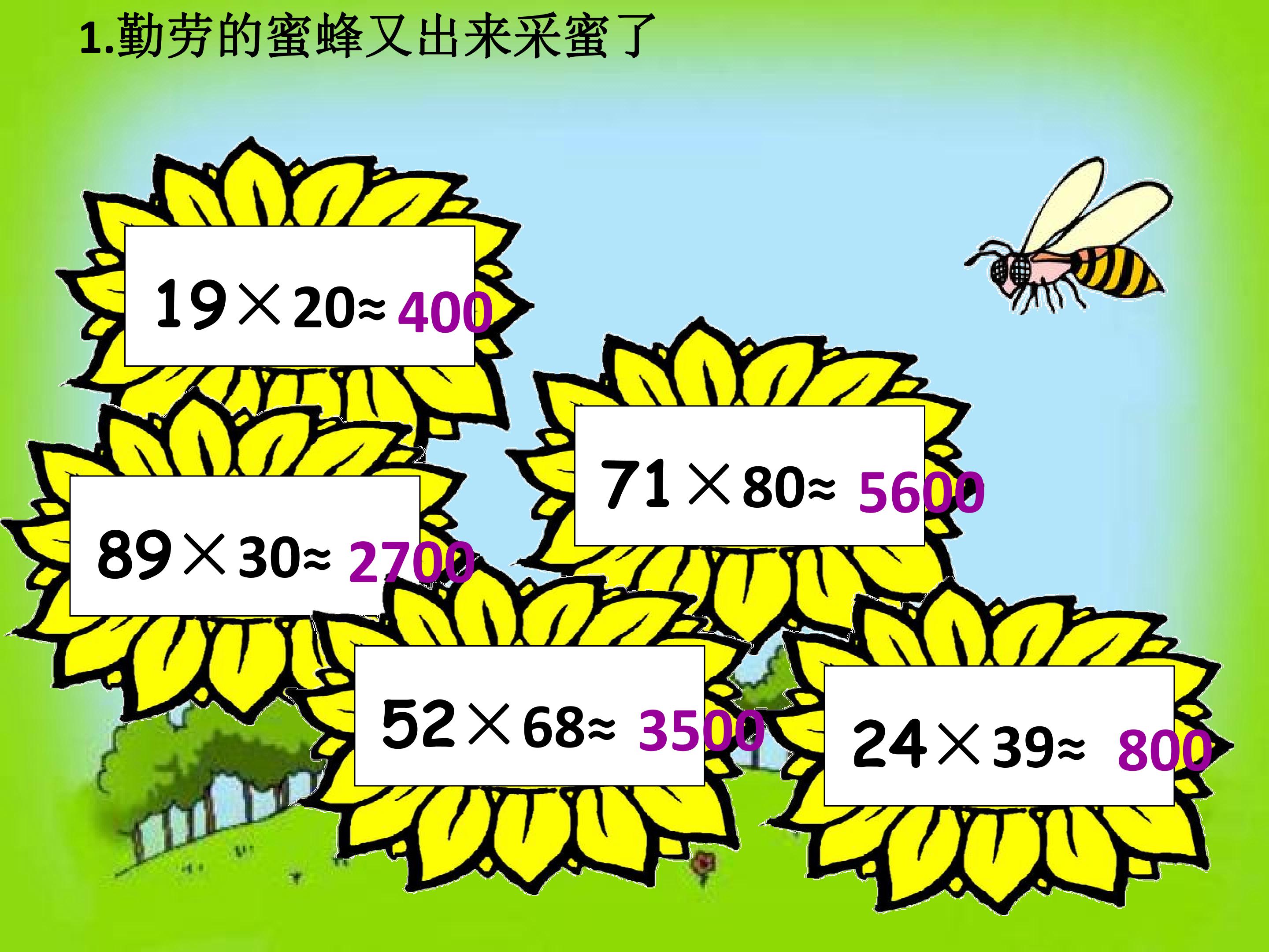95.jpg
