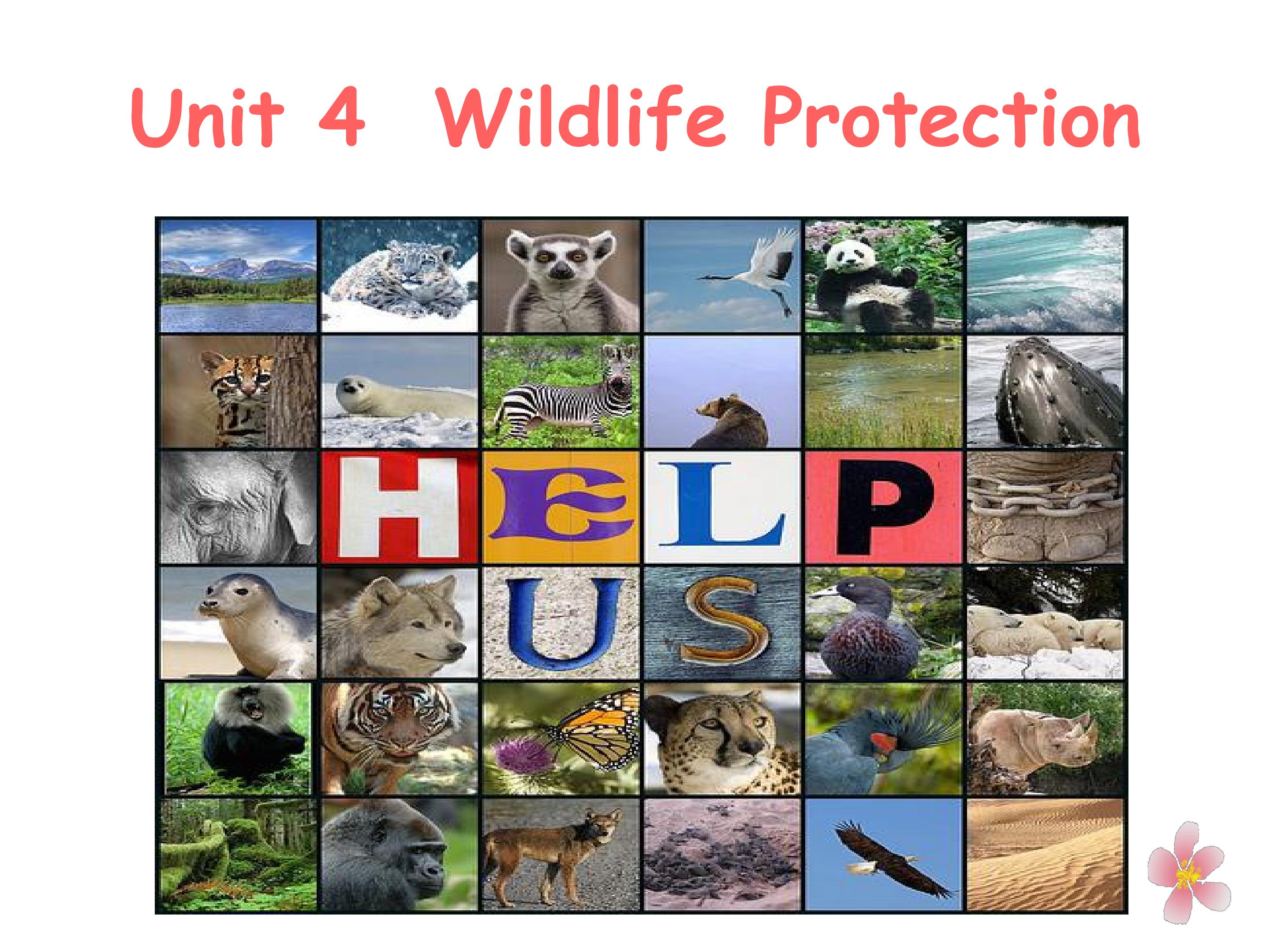 Wildlife protection