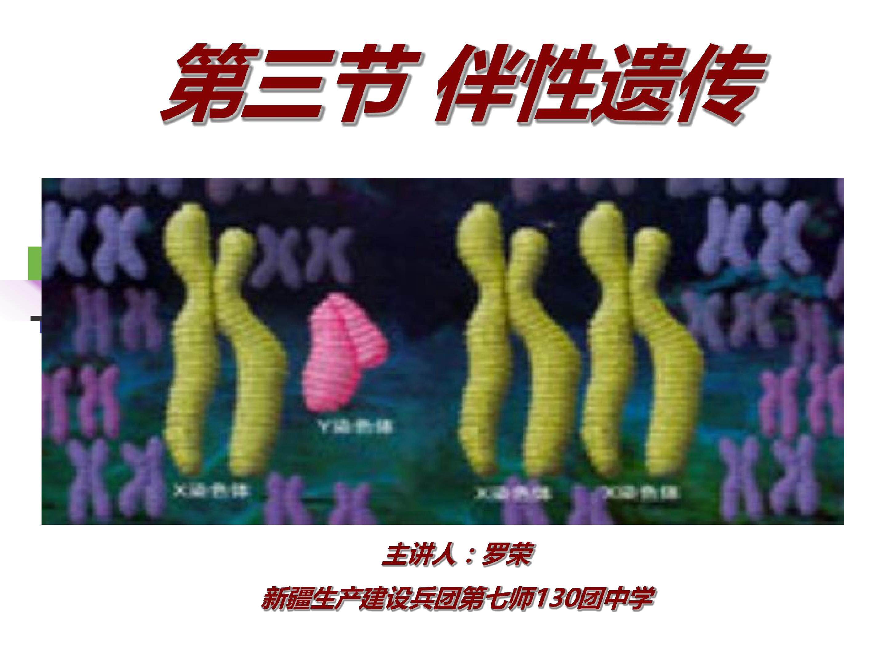 伴性遗传