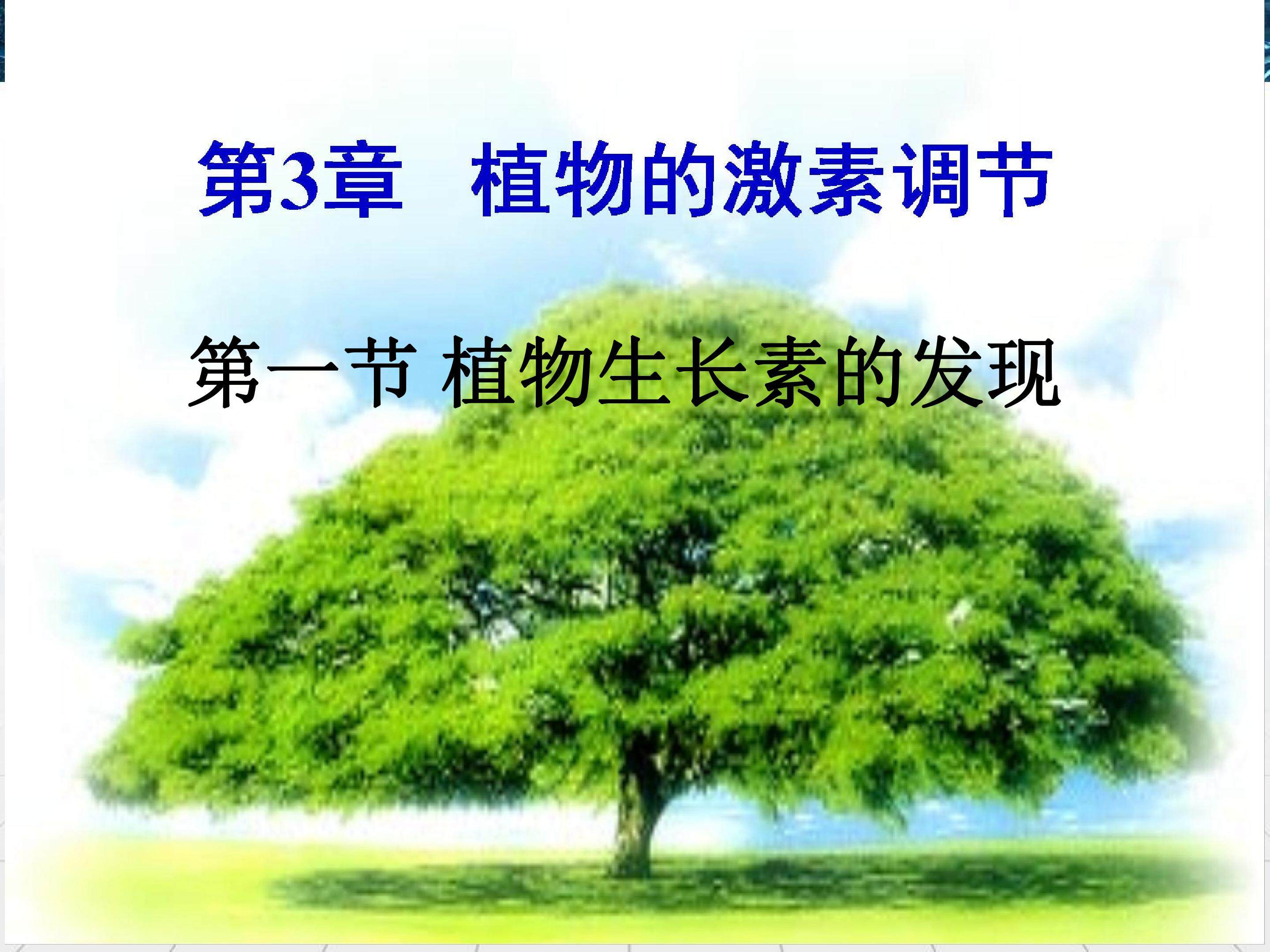 植物生长素的发现