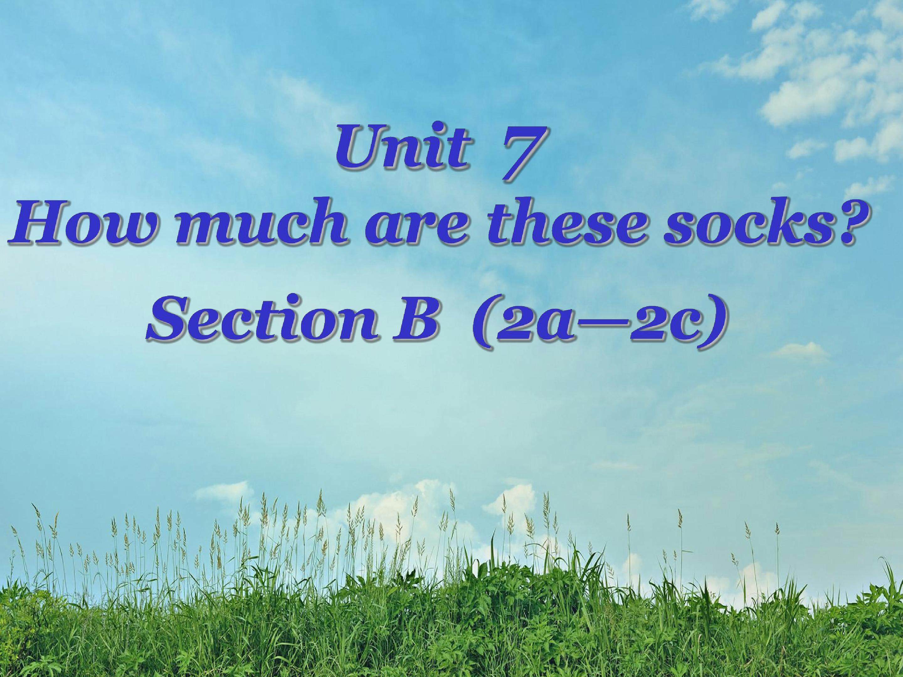 Unit 7 How much are these socks?