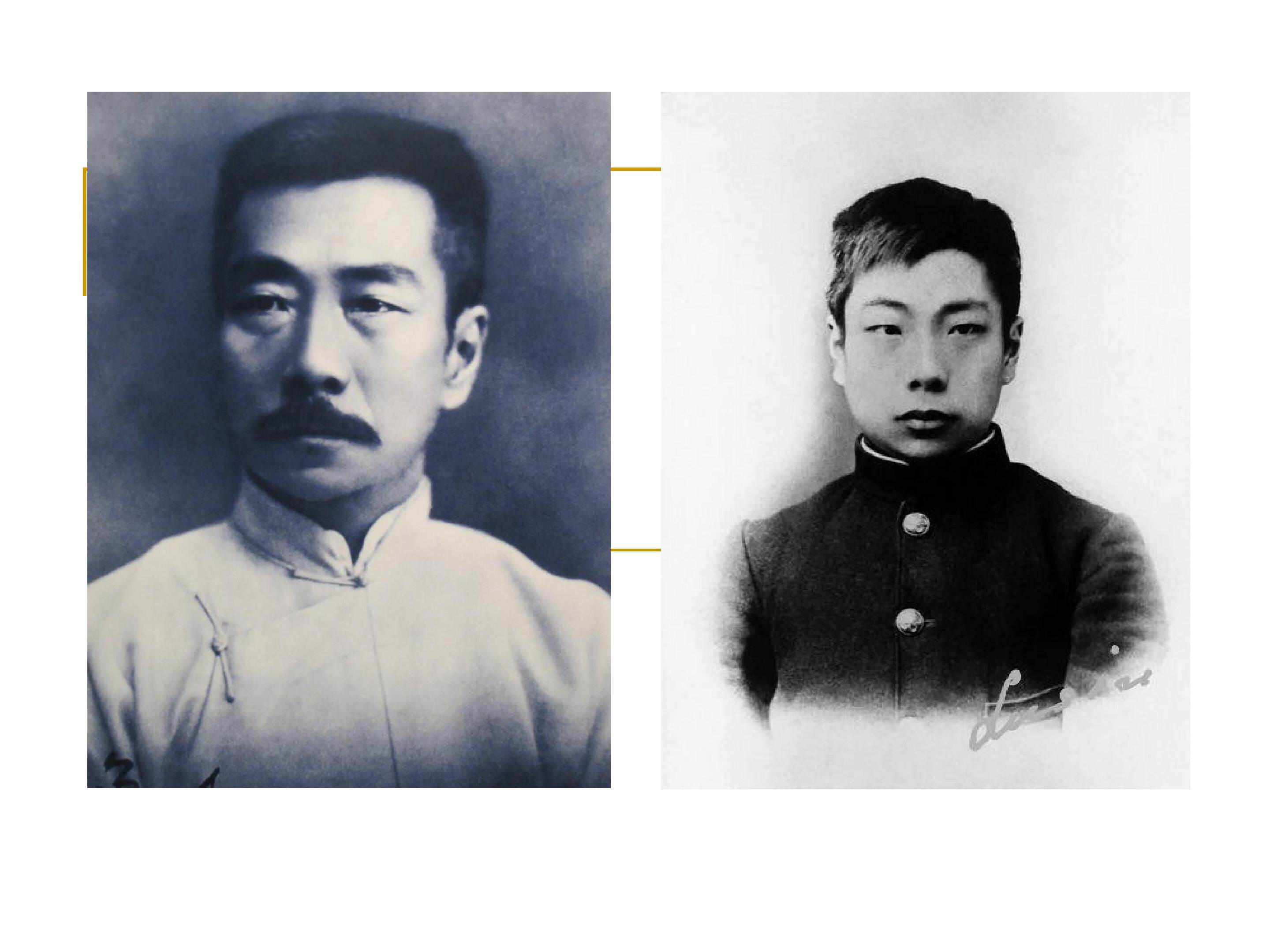 从百草园到三味书屋