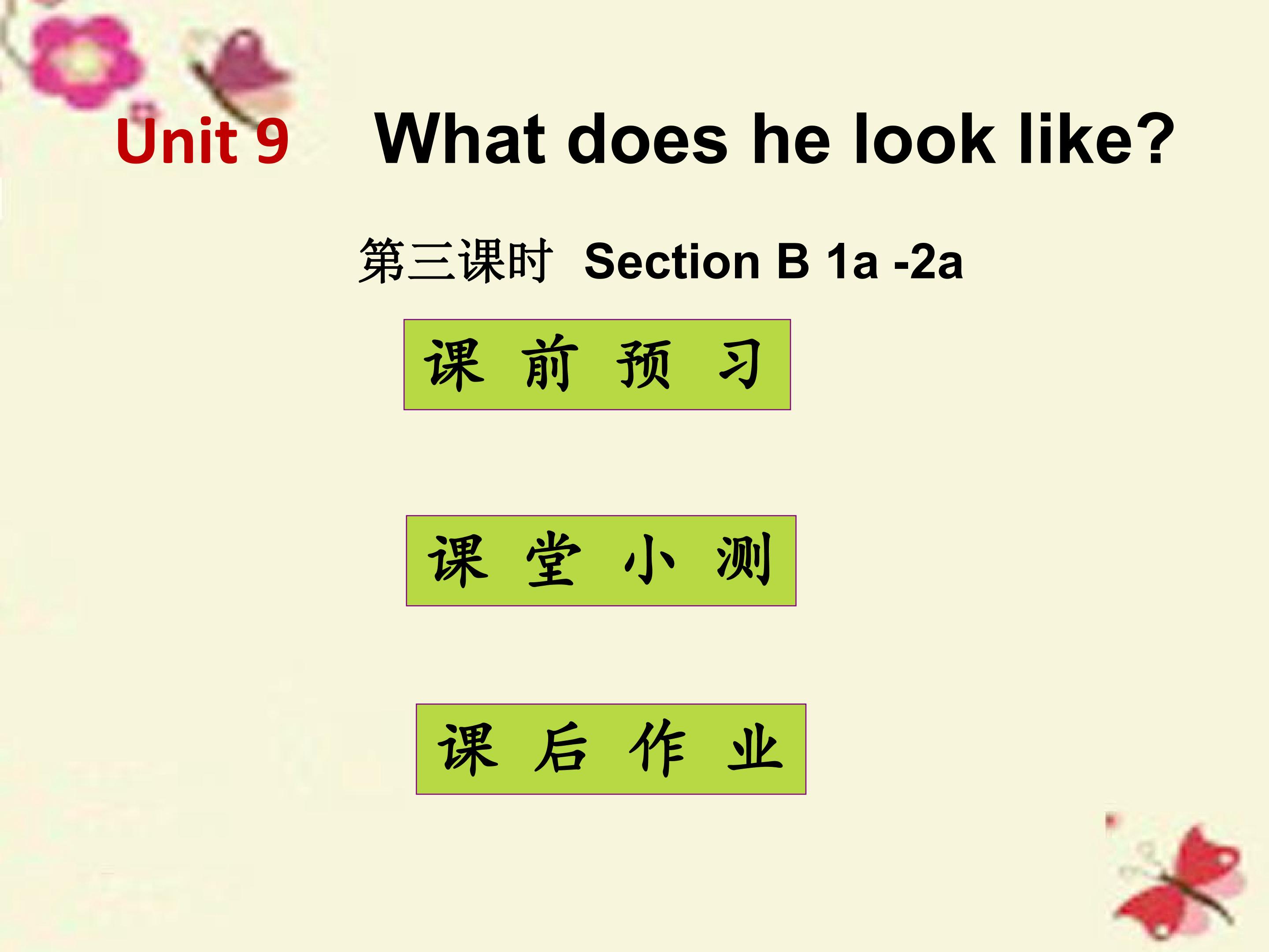 What does he look like Section B