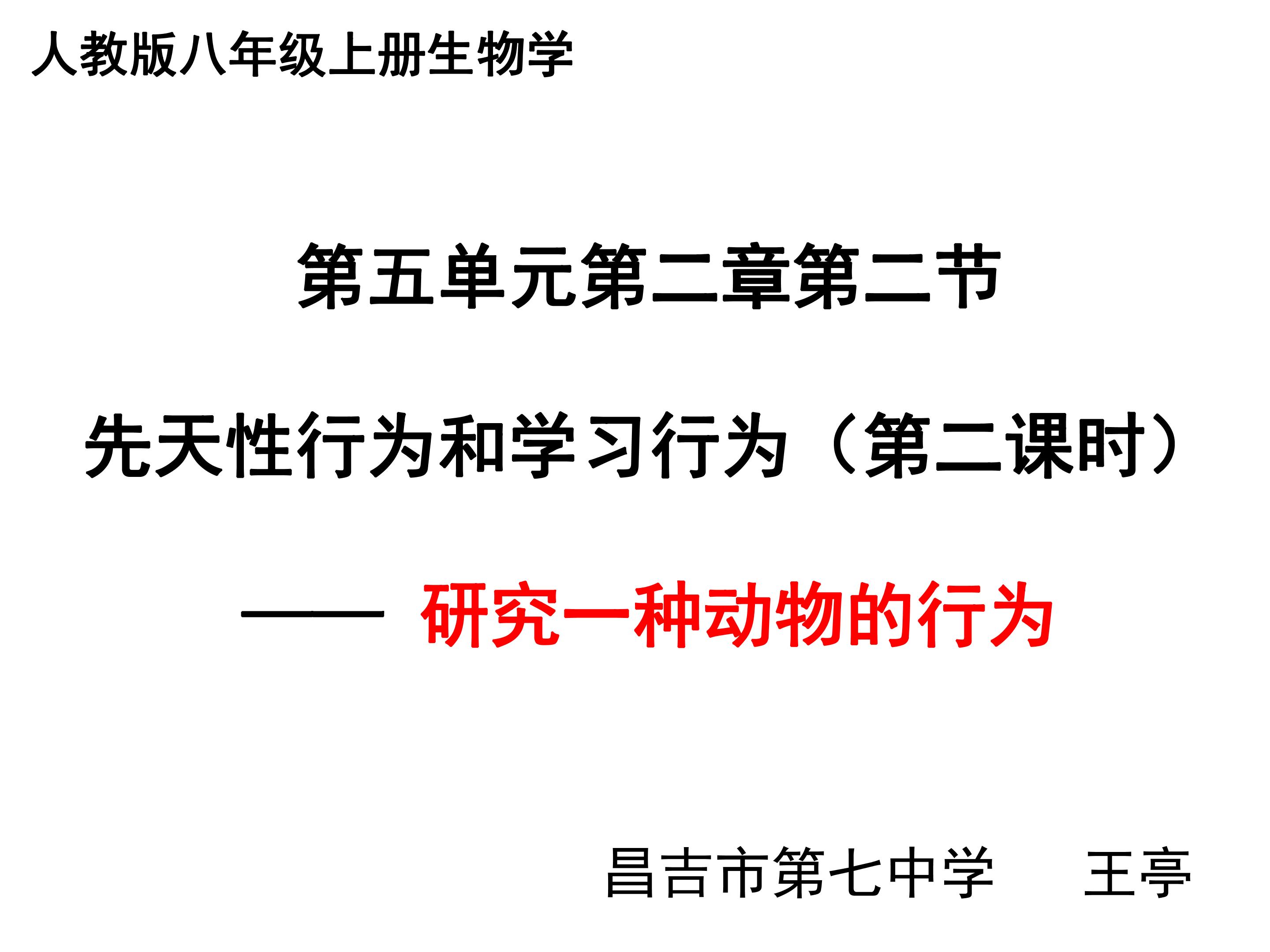 探究：仓鼠走迷宫获取食物