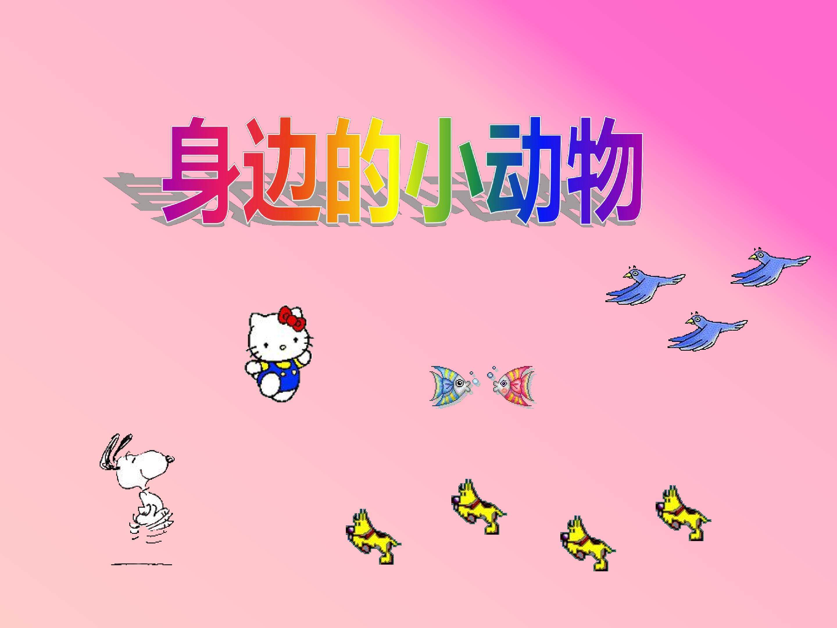 身边的动物3