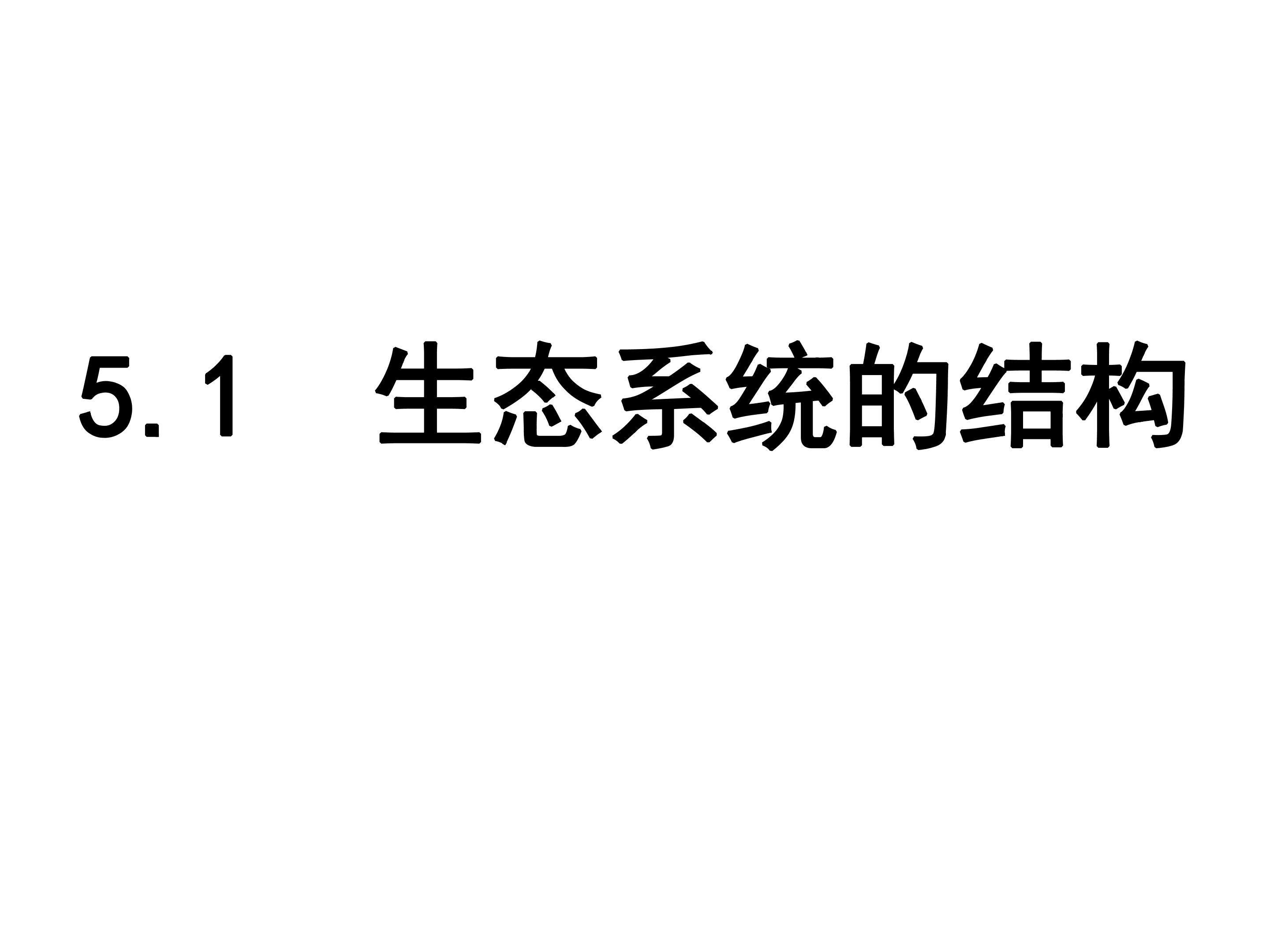 生态系统的结构