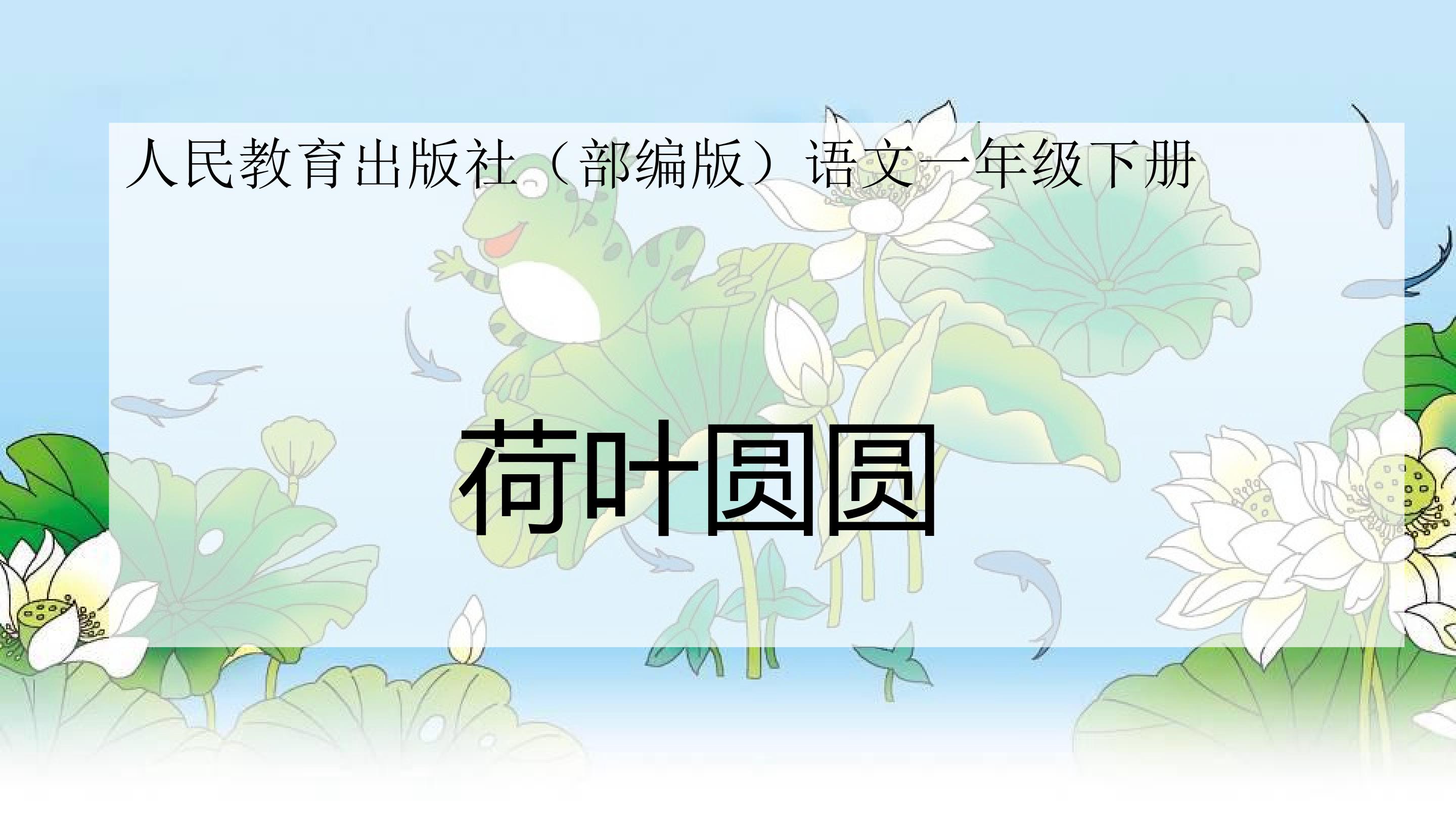 荷叶圆圆