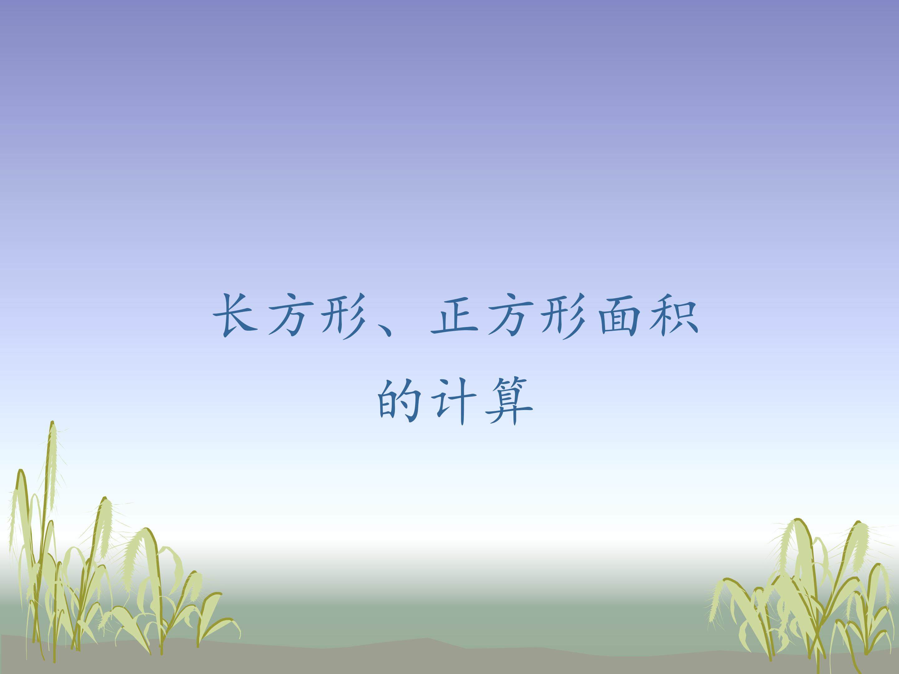 长方形、正方形面积的计算