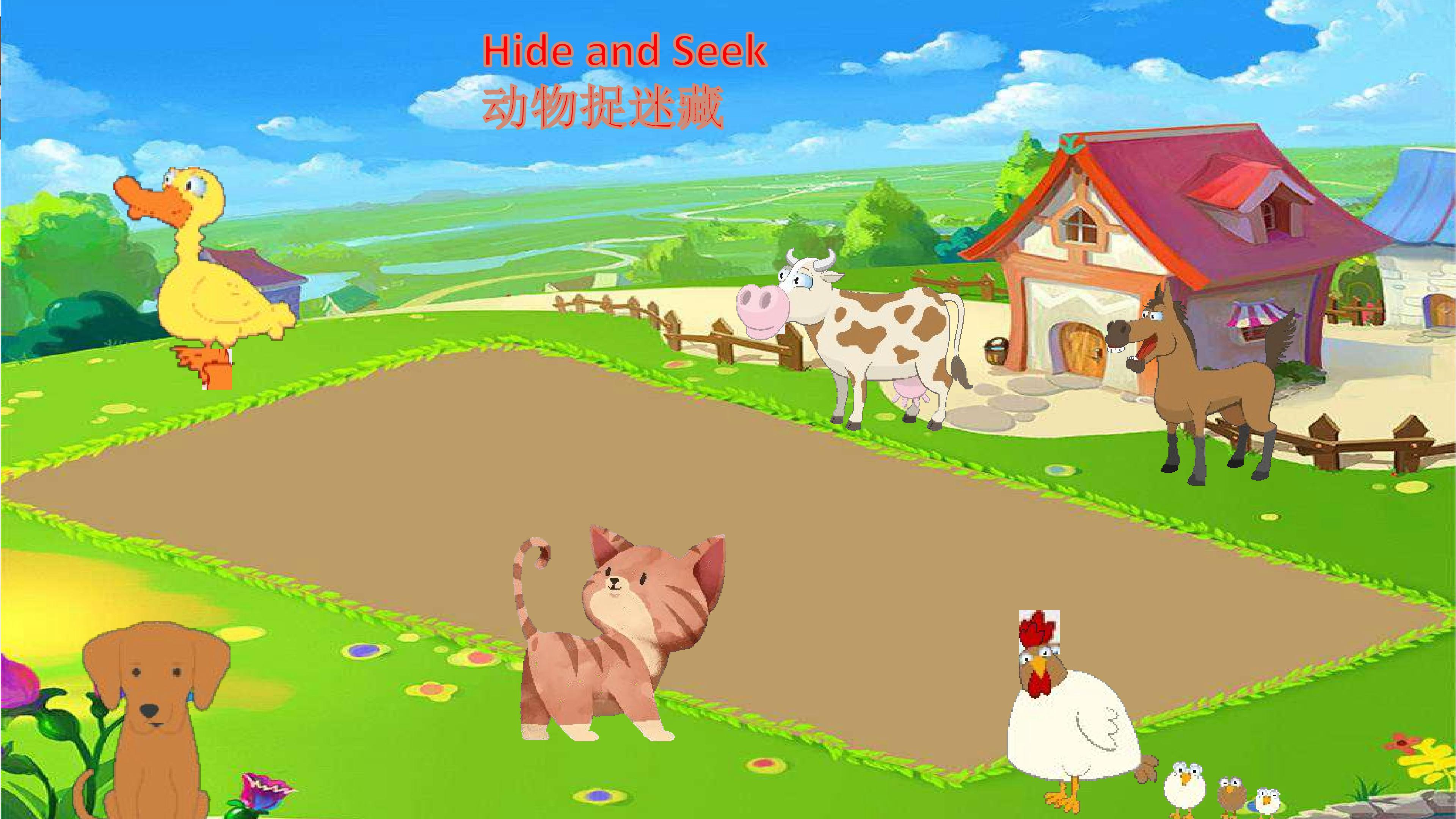 13.jpg