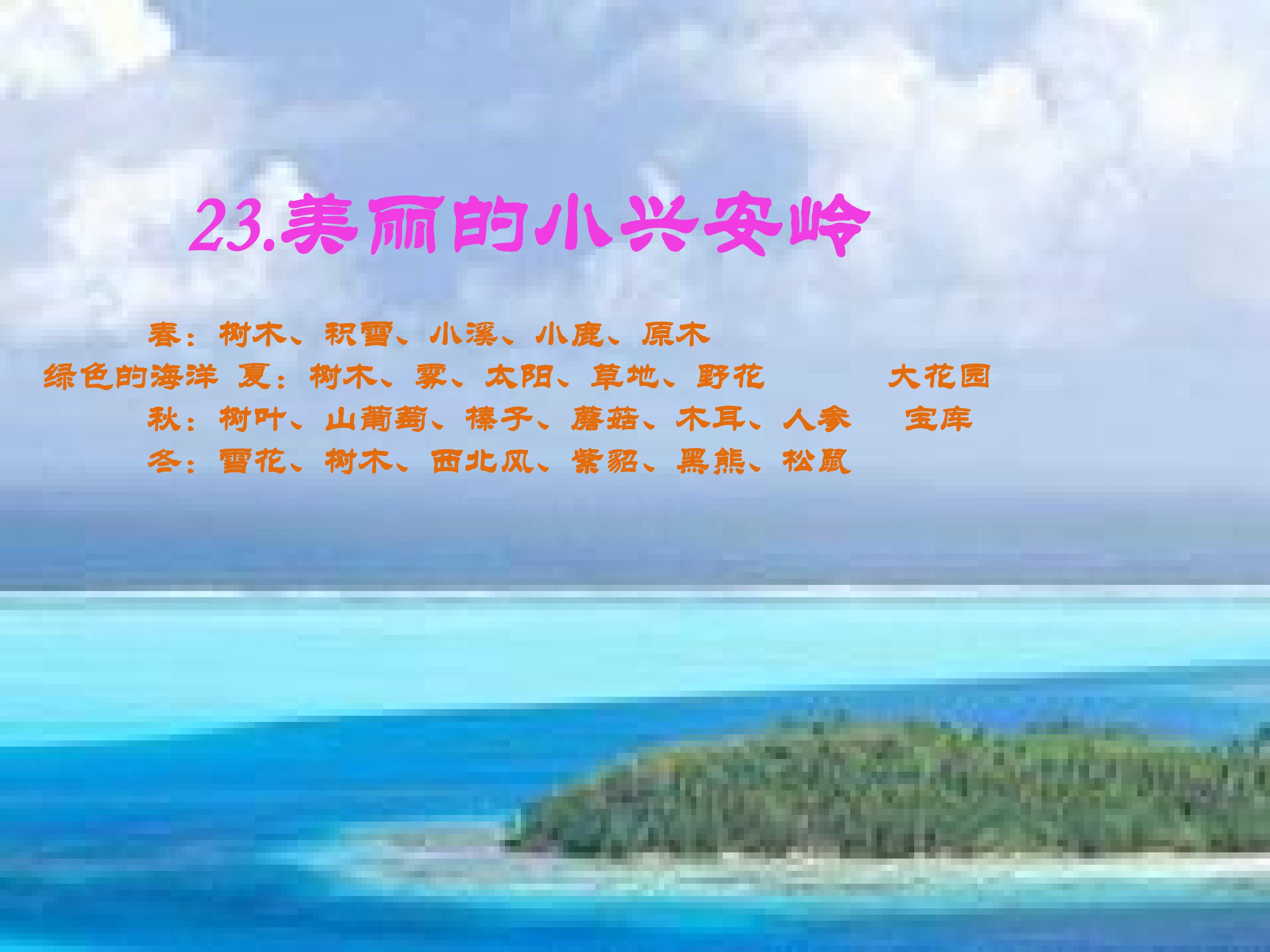23.jpg